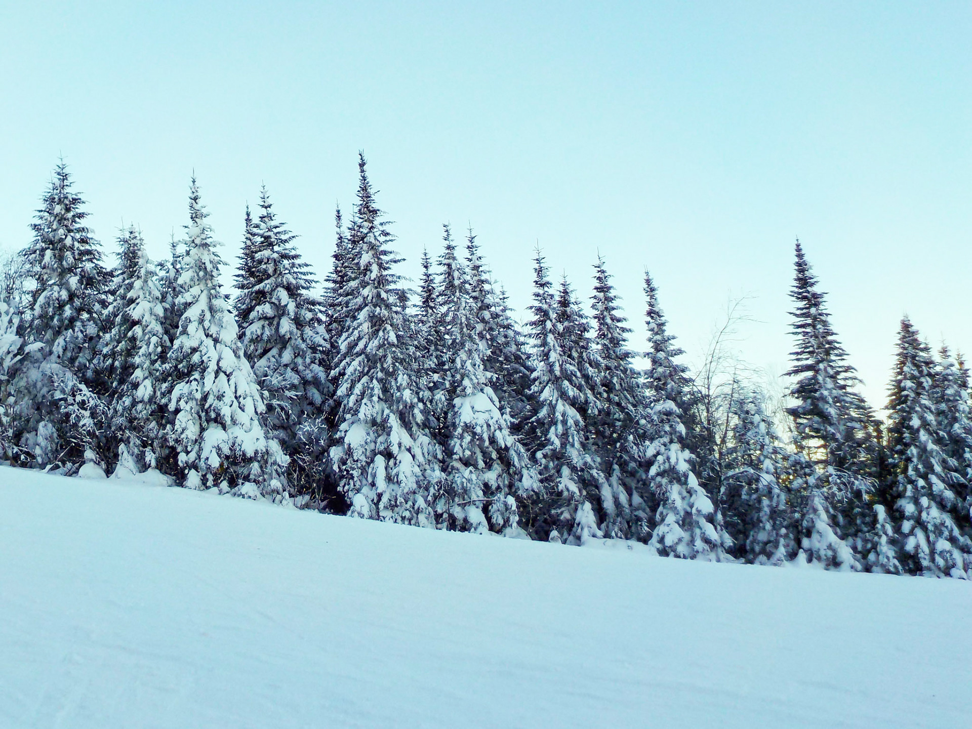 Snow to Sky | (Mont-Sainte-Anne)