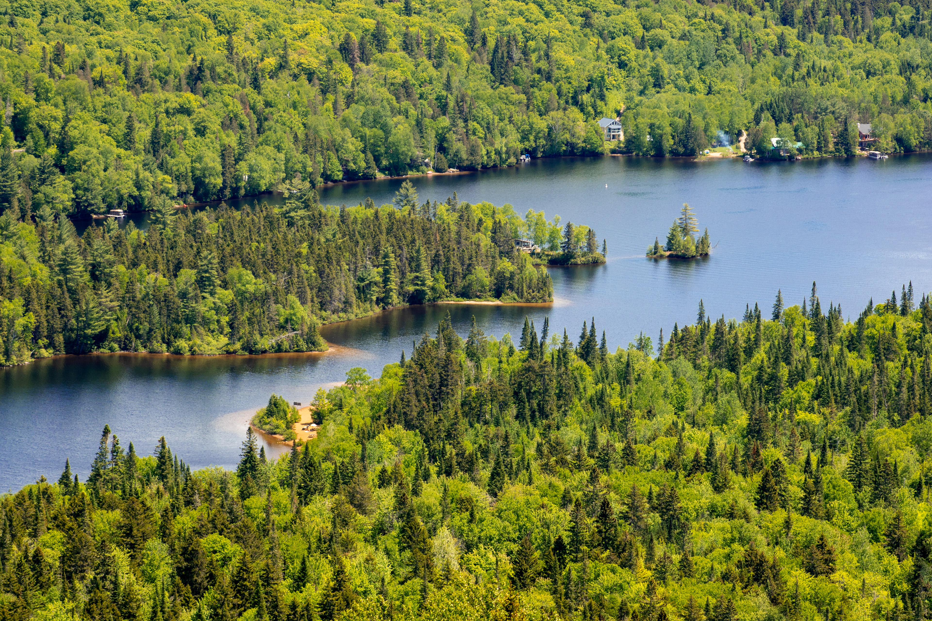 Tree Sandwich | (Mont Tremblant, Canada)