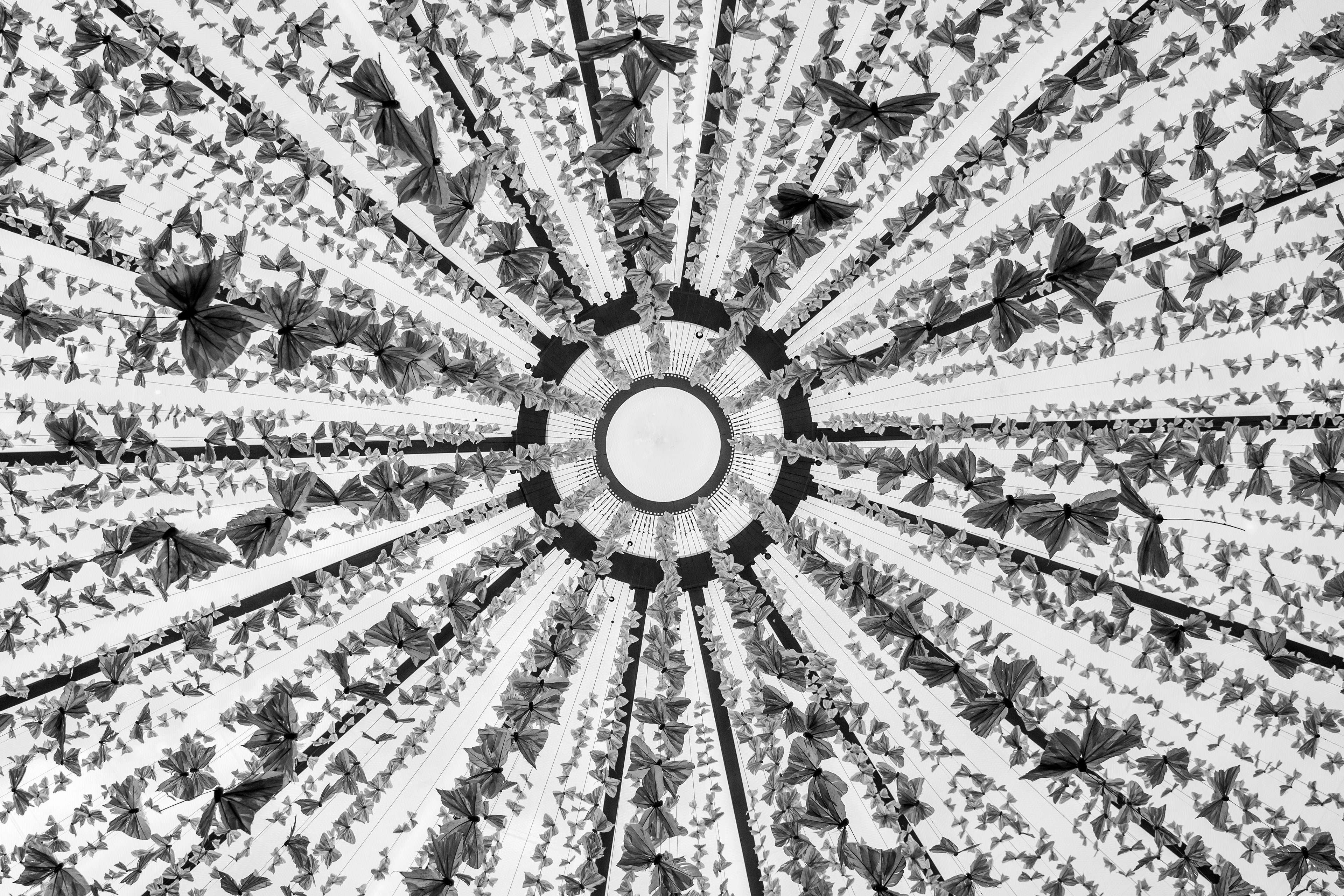 To the Point | (Galerija)