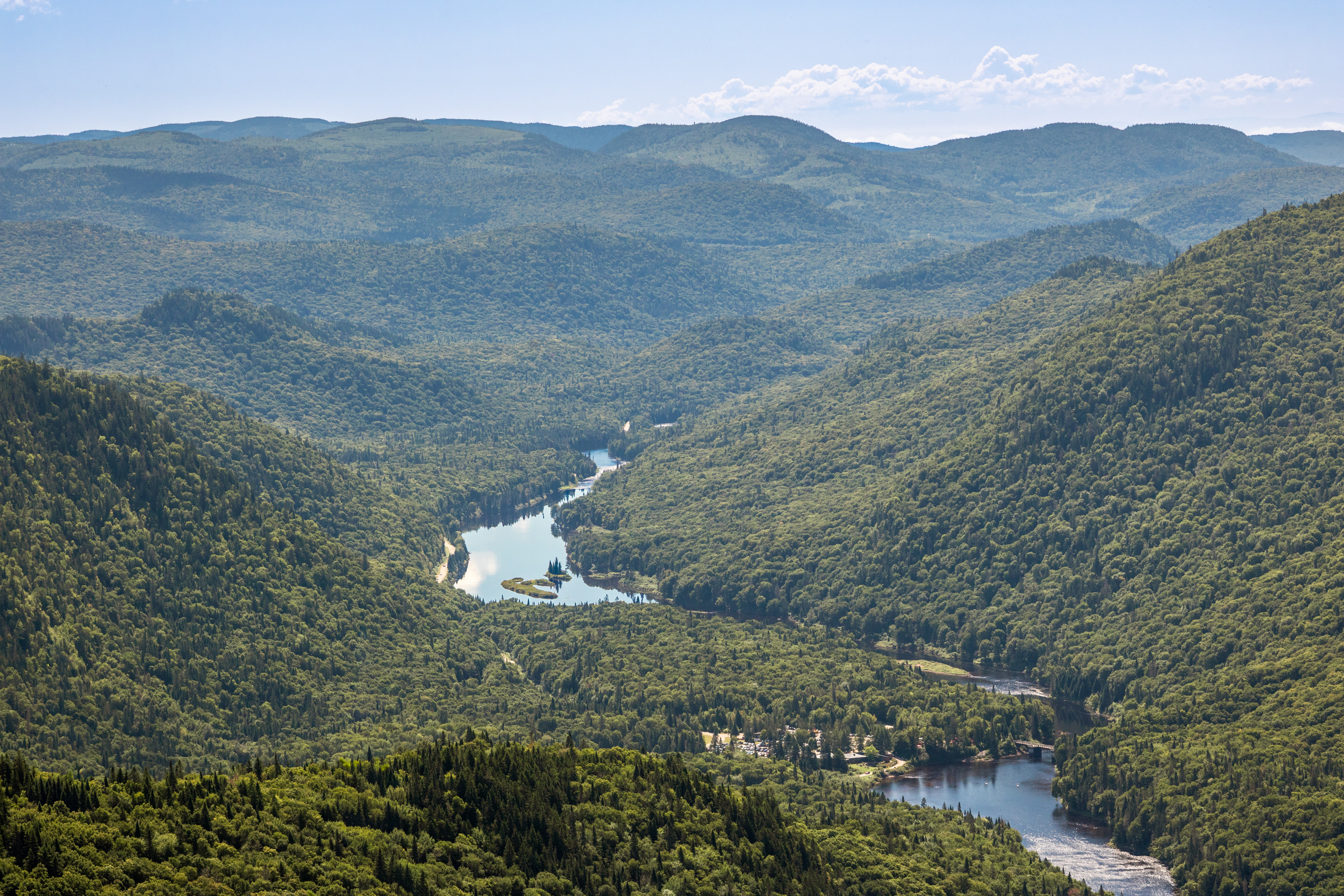 Waves of Trees | (Jacques Cartier National Park, Canada)