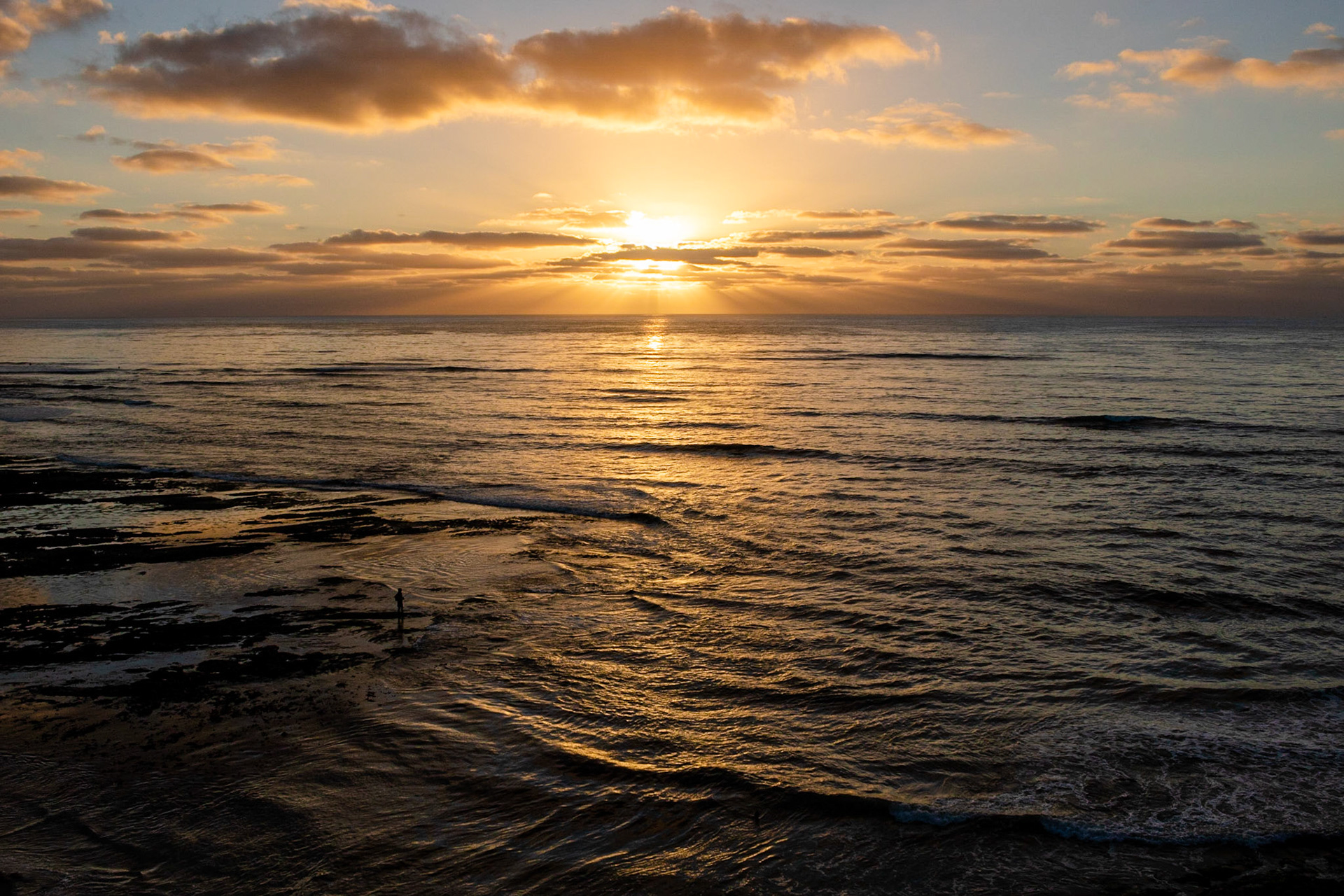 Sun Seeker | (Sunset Cliffs)