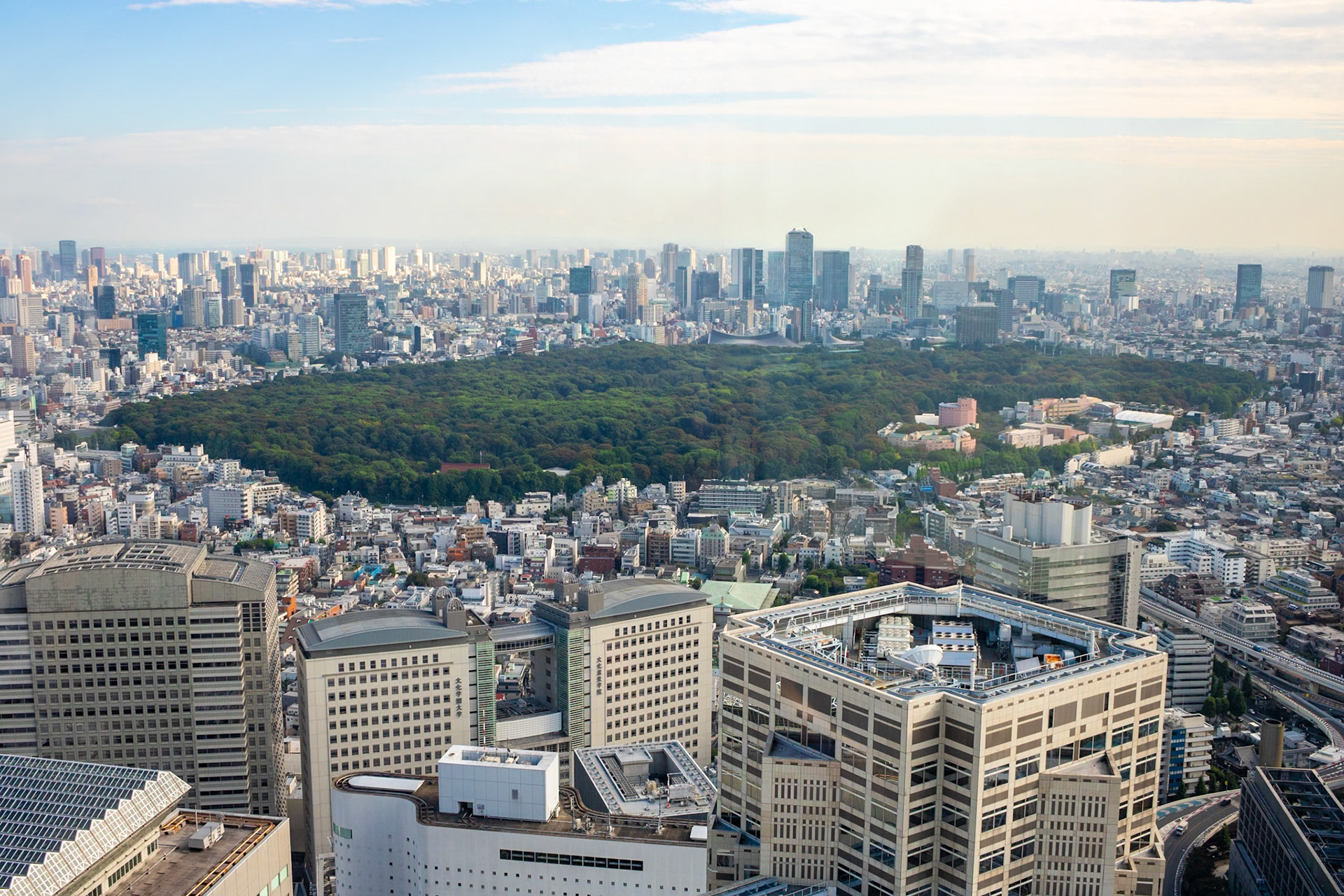 The Green Spot | (Tokyo Metropolitan Government Building)
