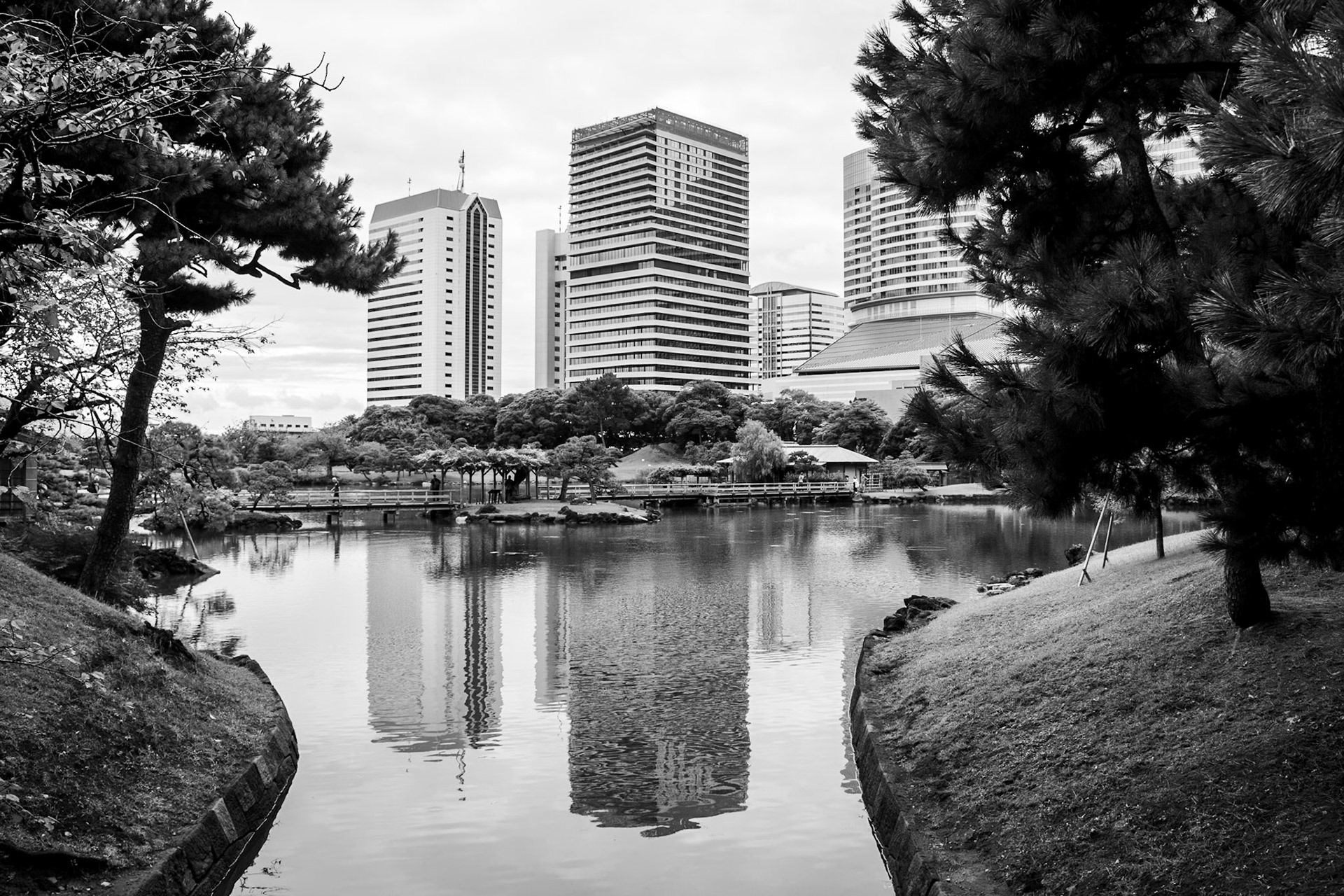 Lunch Break | (Hamarikyu Gardens)