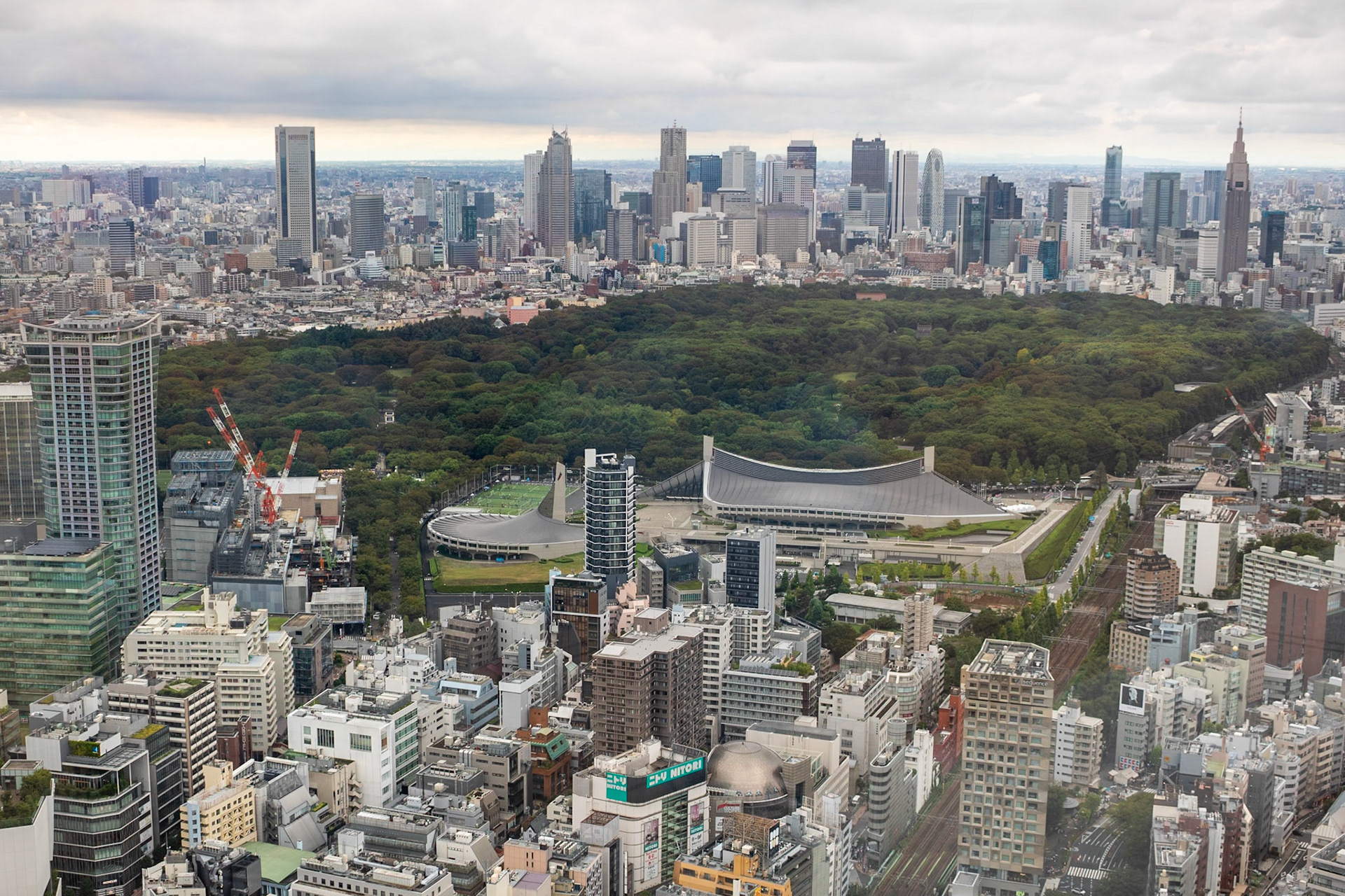 Surrounded By City | (Shibuya Sky)