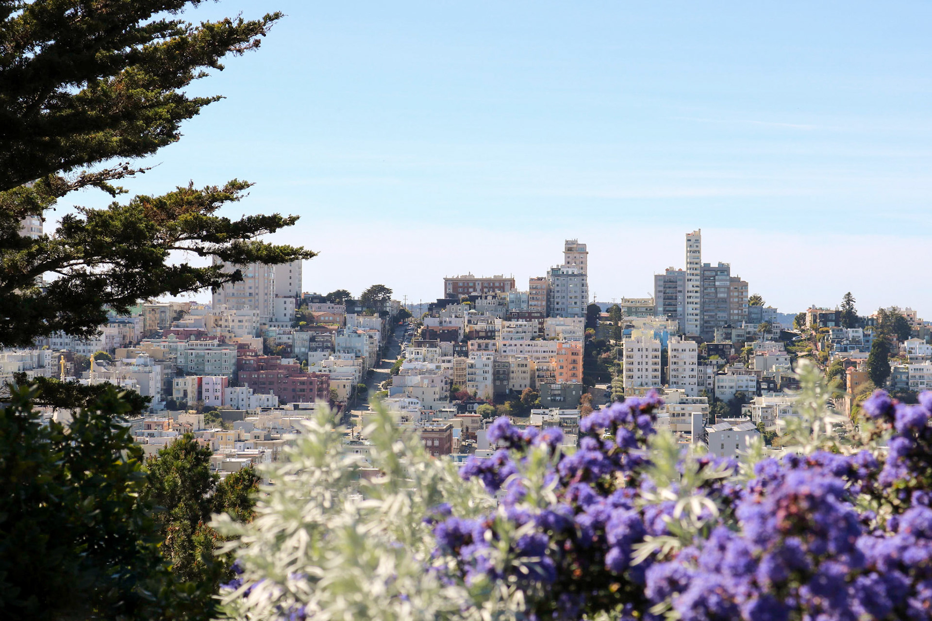 Hilltop
