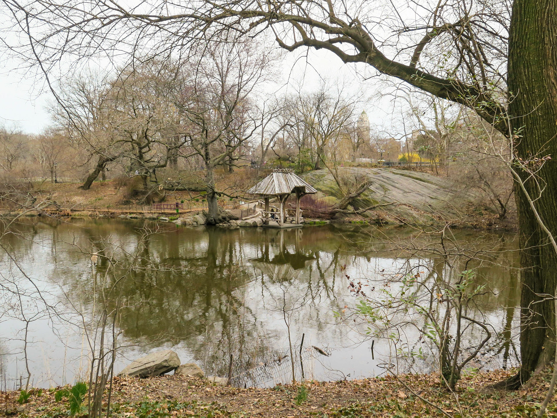 Wagner Cove | (Central Park)