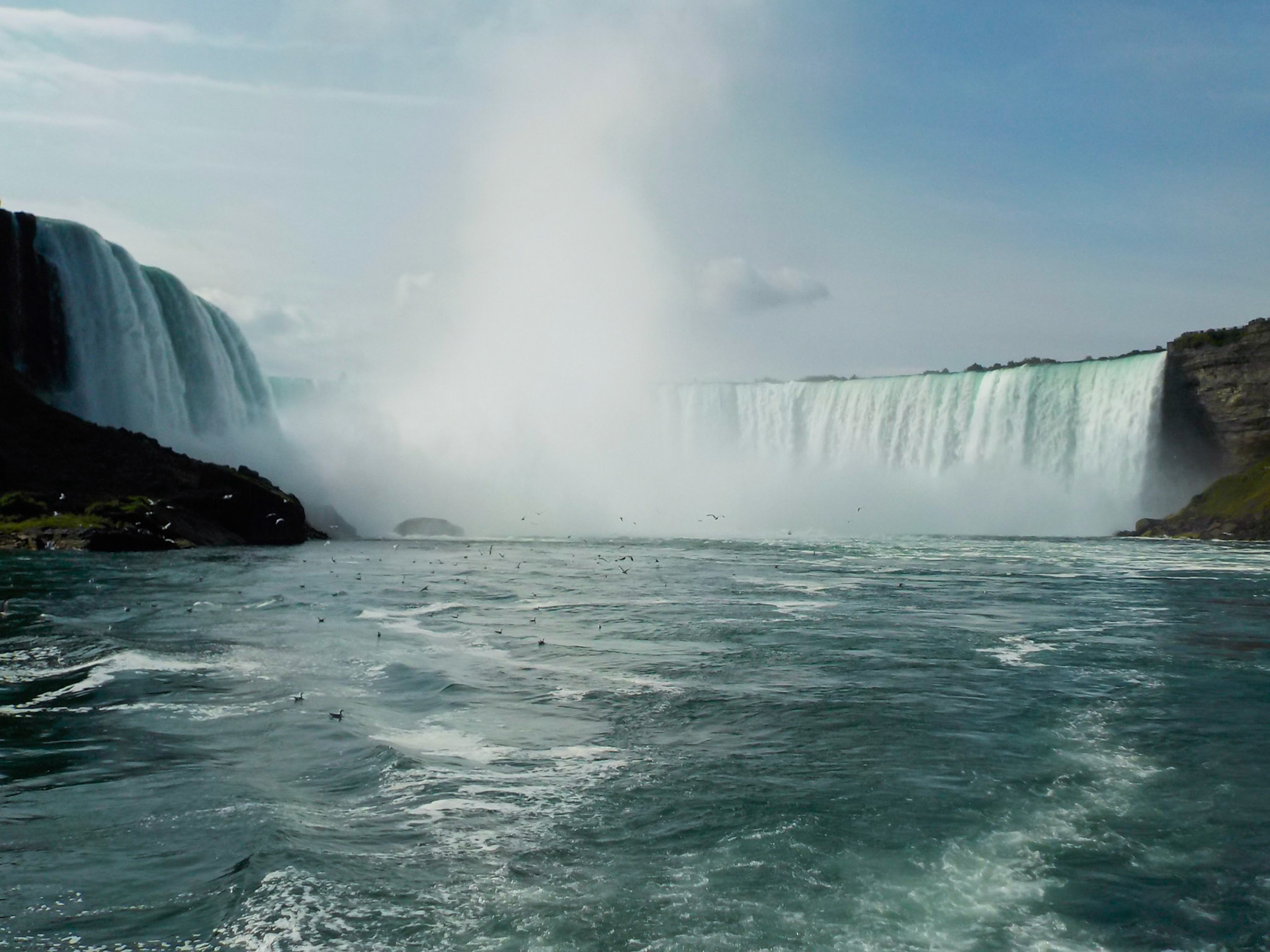 The Mist | (Hornblower Cruise)