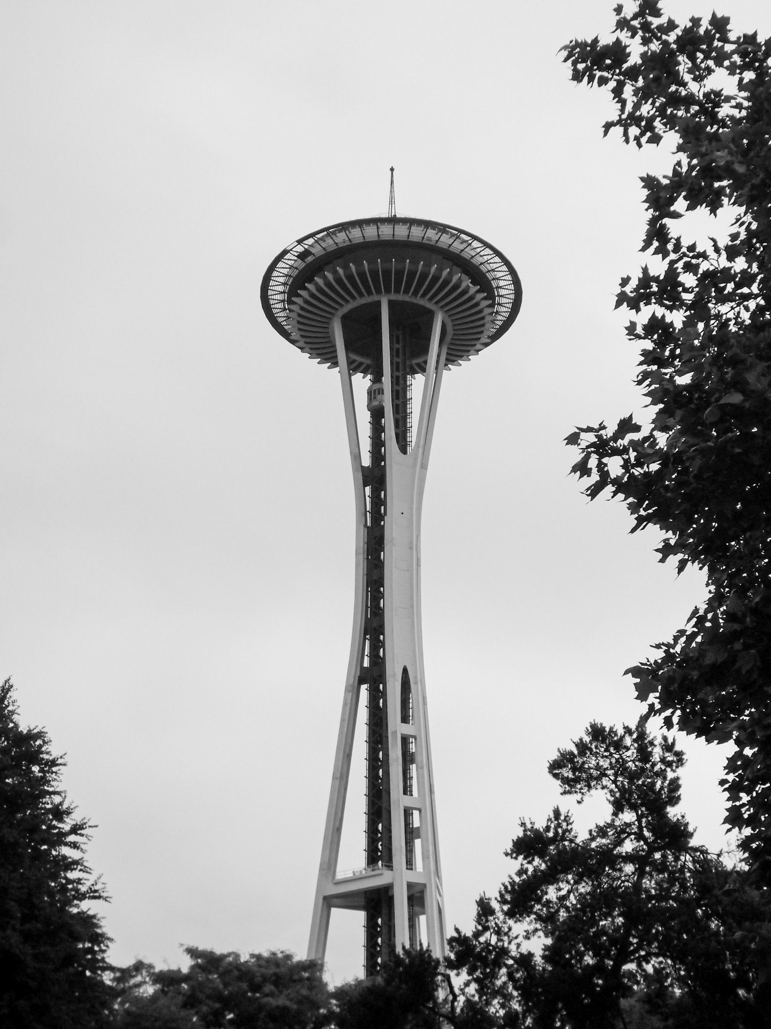 Framed | (Space Needle)