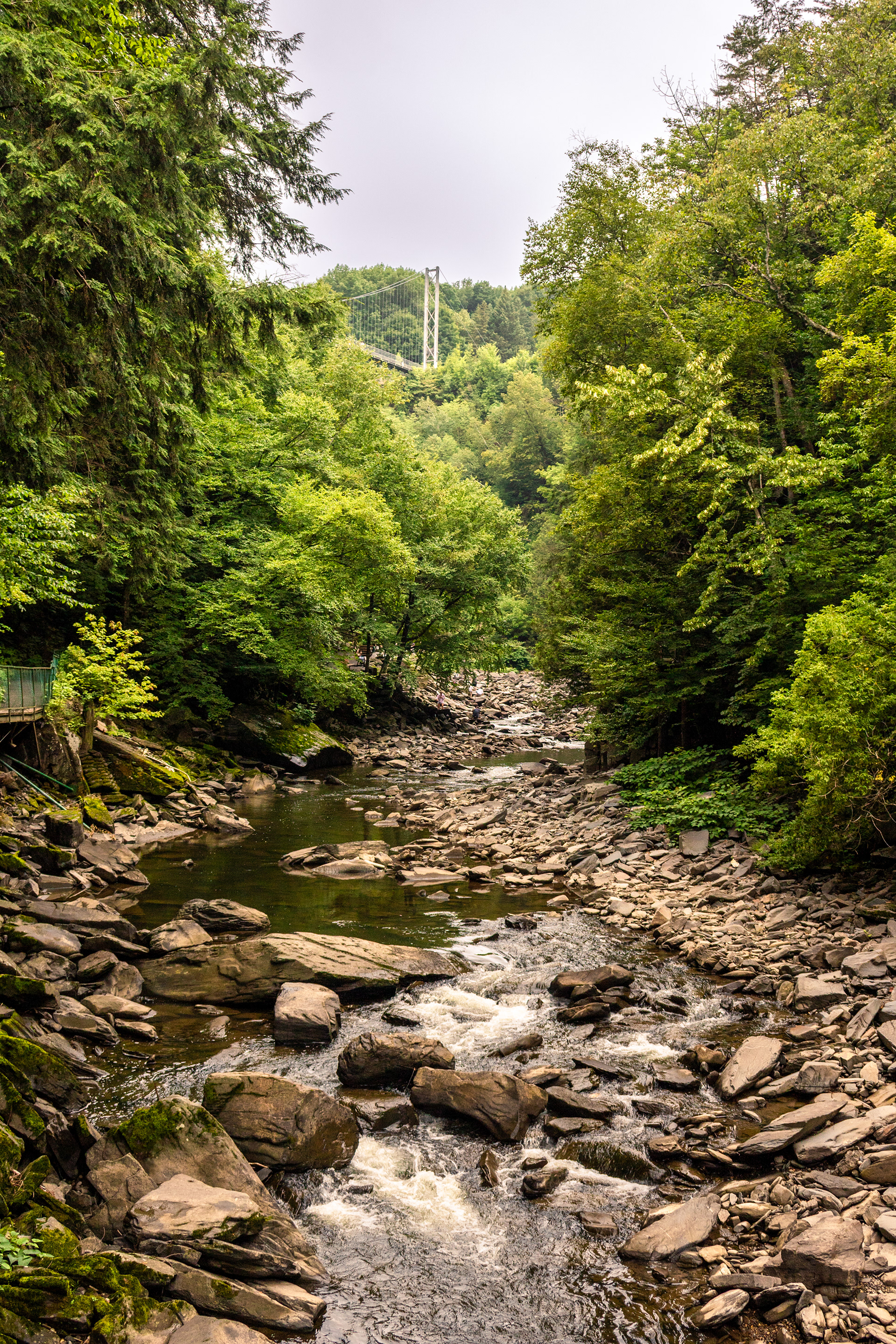 Bridge and Branches | (Parc de la Gorge de Coaticook)