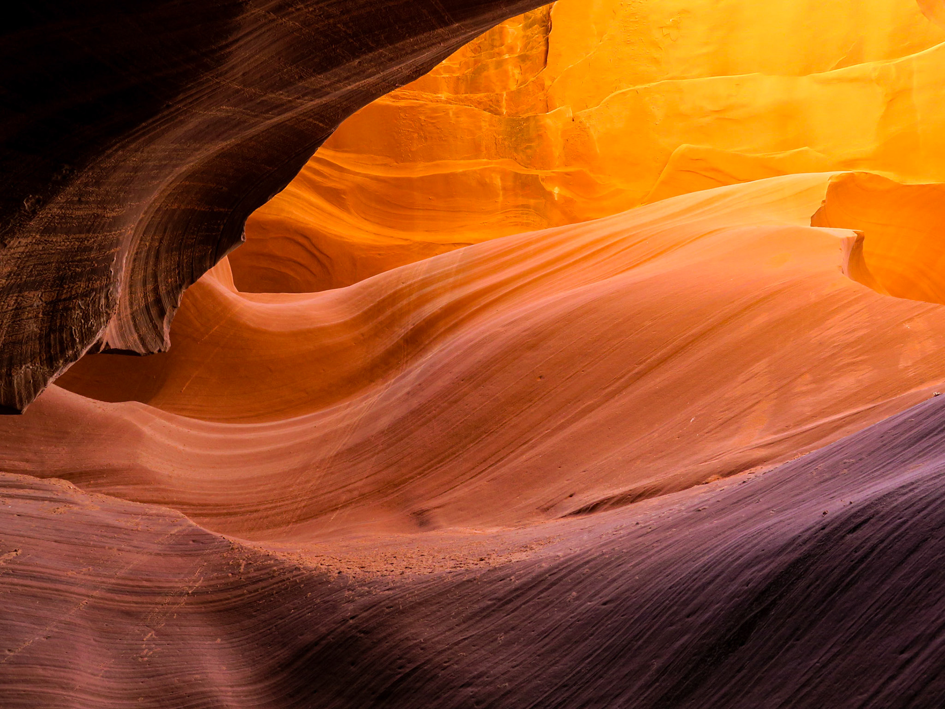 The Gradient | (Lower Antelope Canyon)