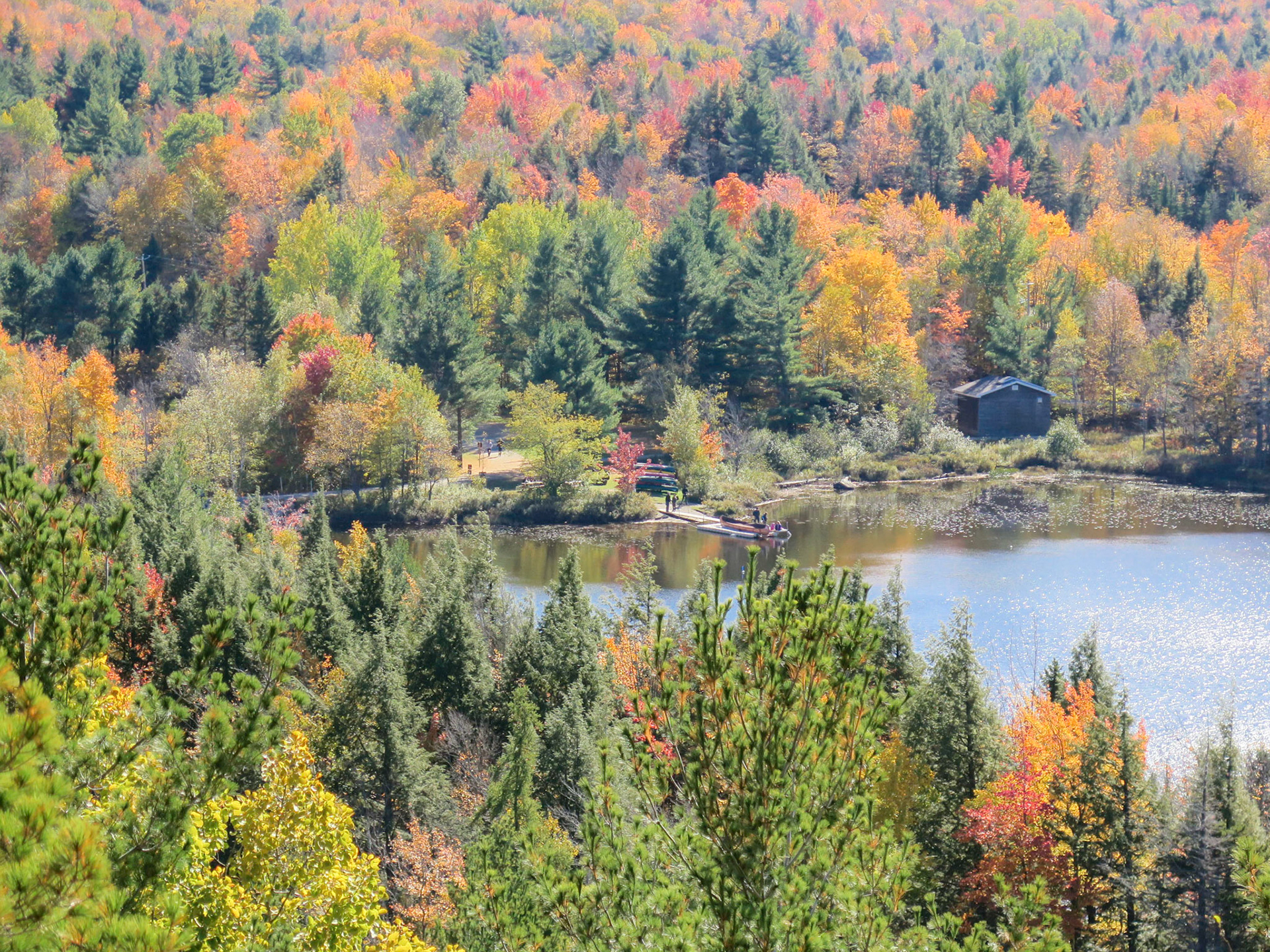 Leaf Peeping | (Parc National du Mont-Orford)