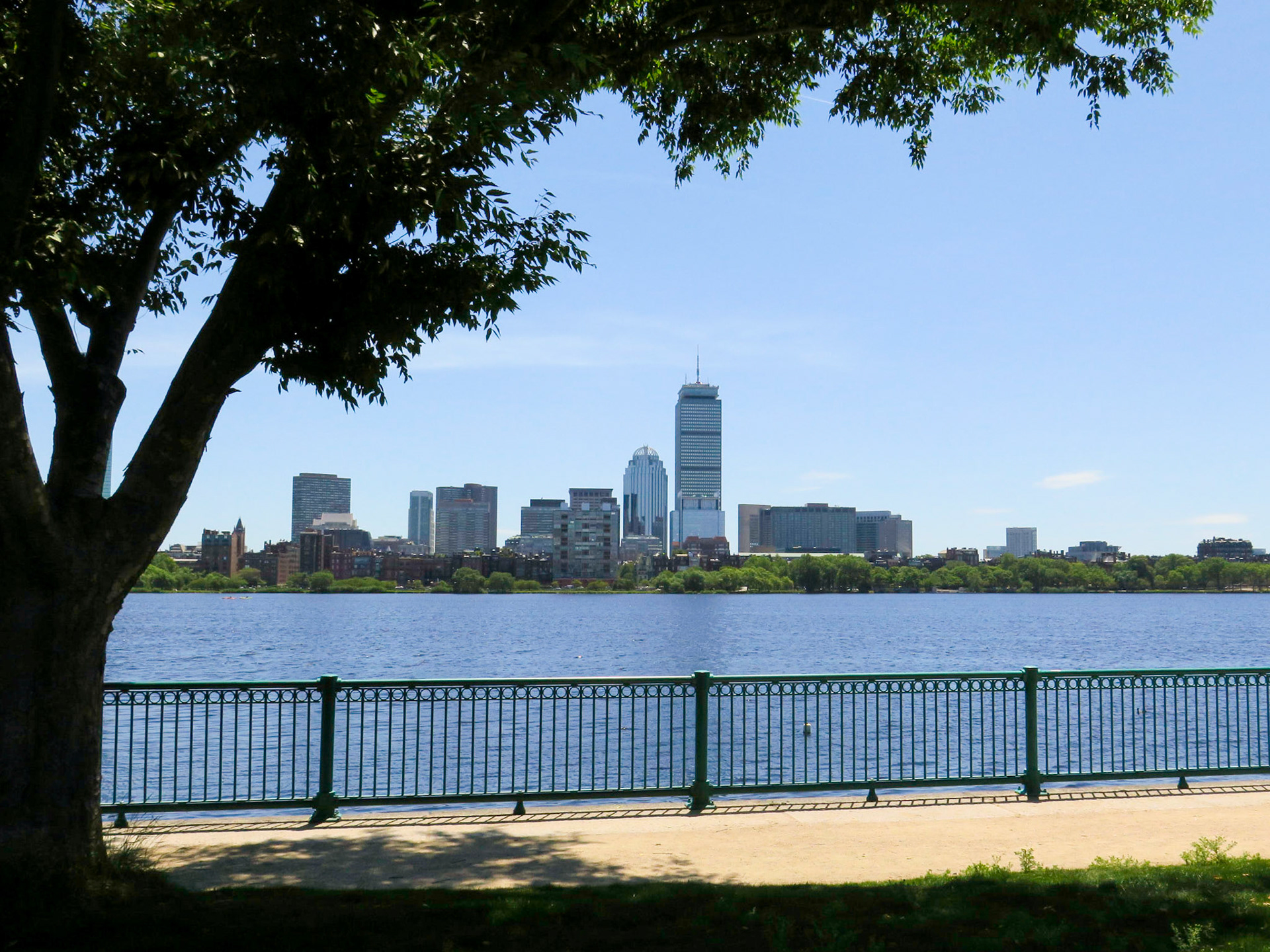 A Shady Spot | (Cambridge)