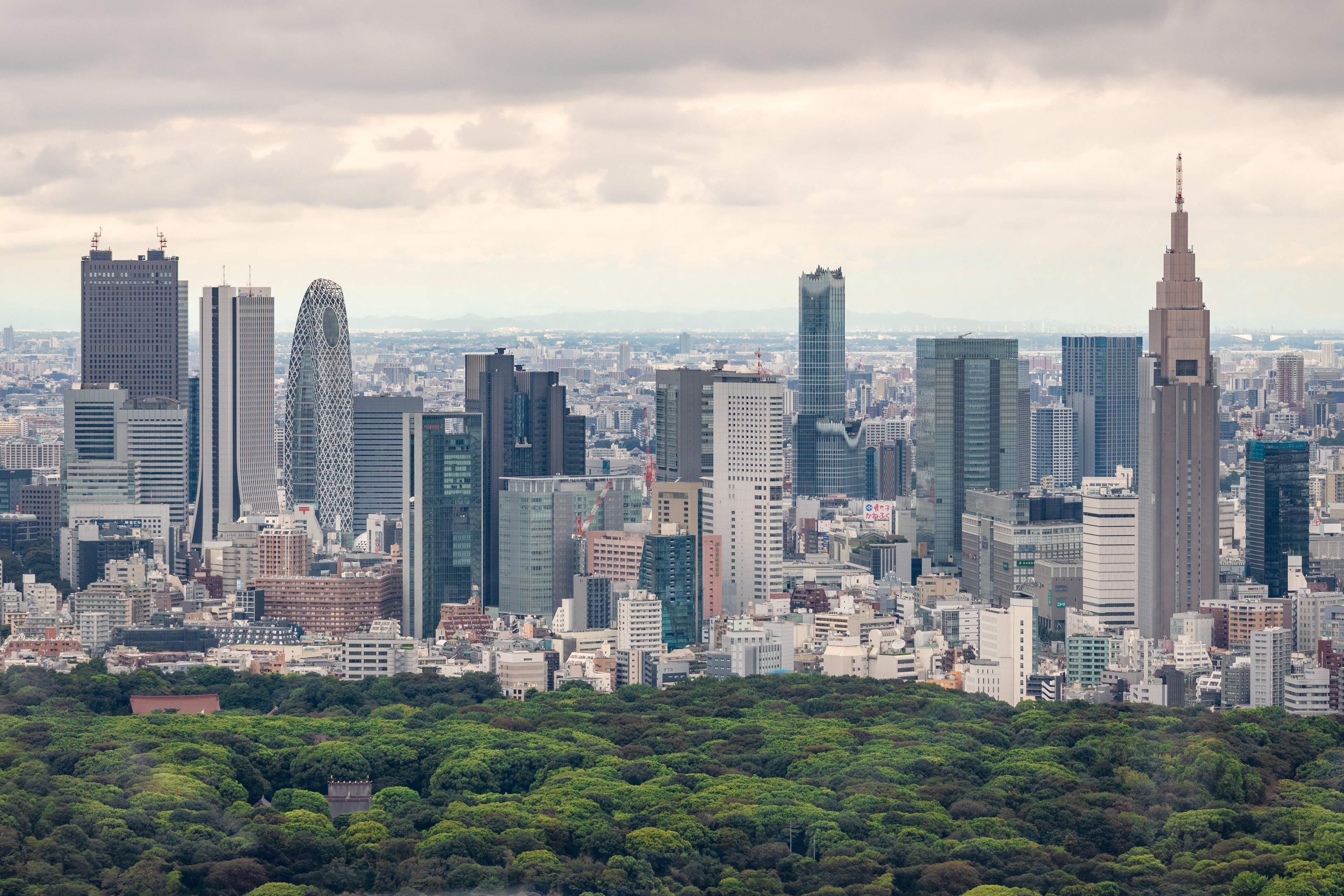 80% Chance | (Tokyo, Japan)