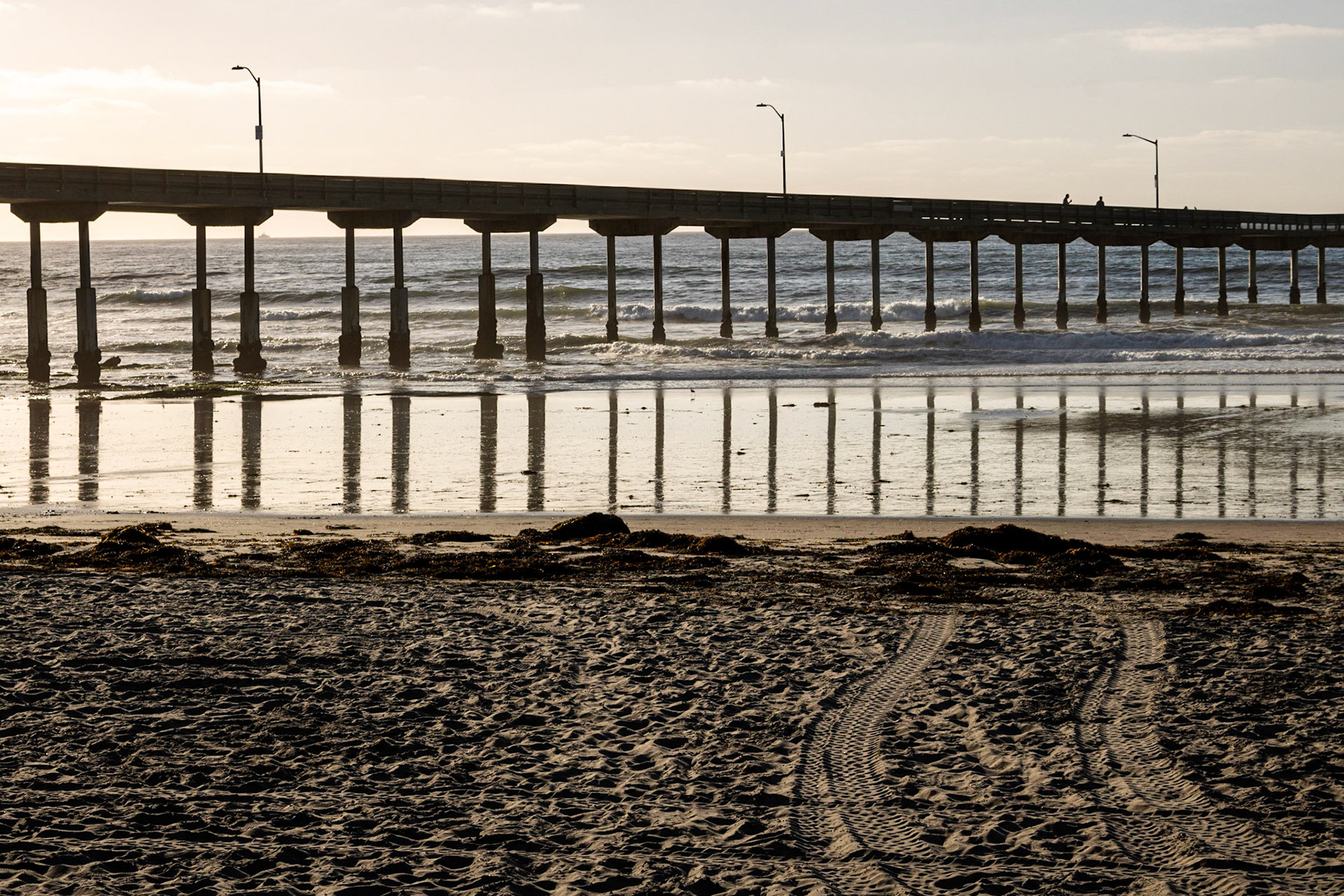 The O.B. | (Ocean Beach Pier)