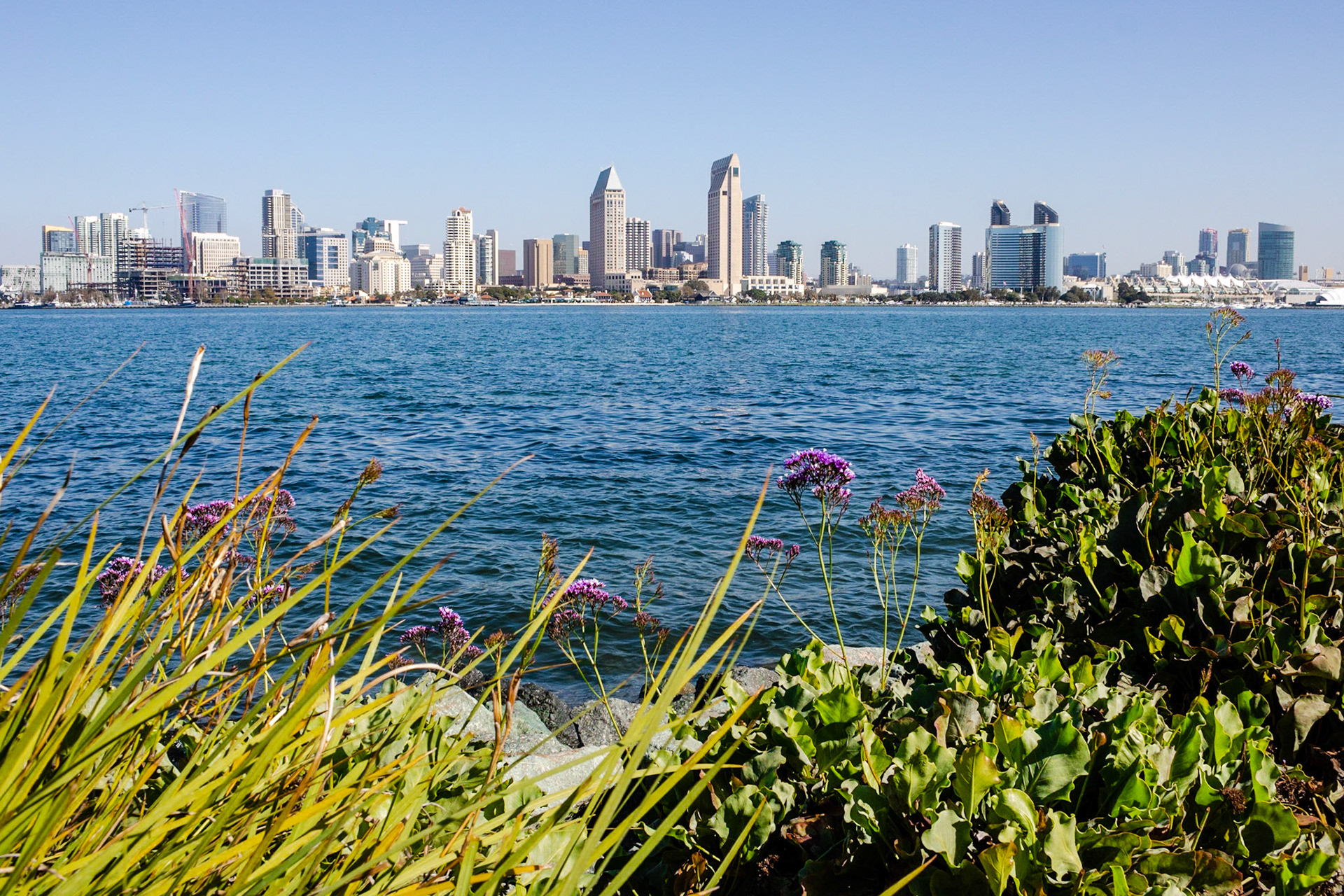 Park With a View | (Bayview Park, Coronado Island)