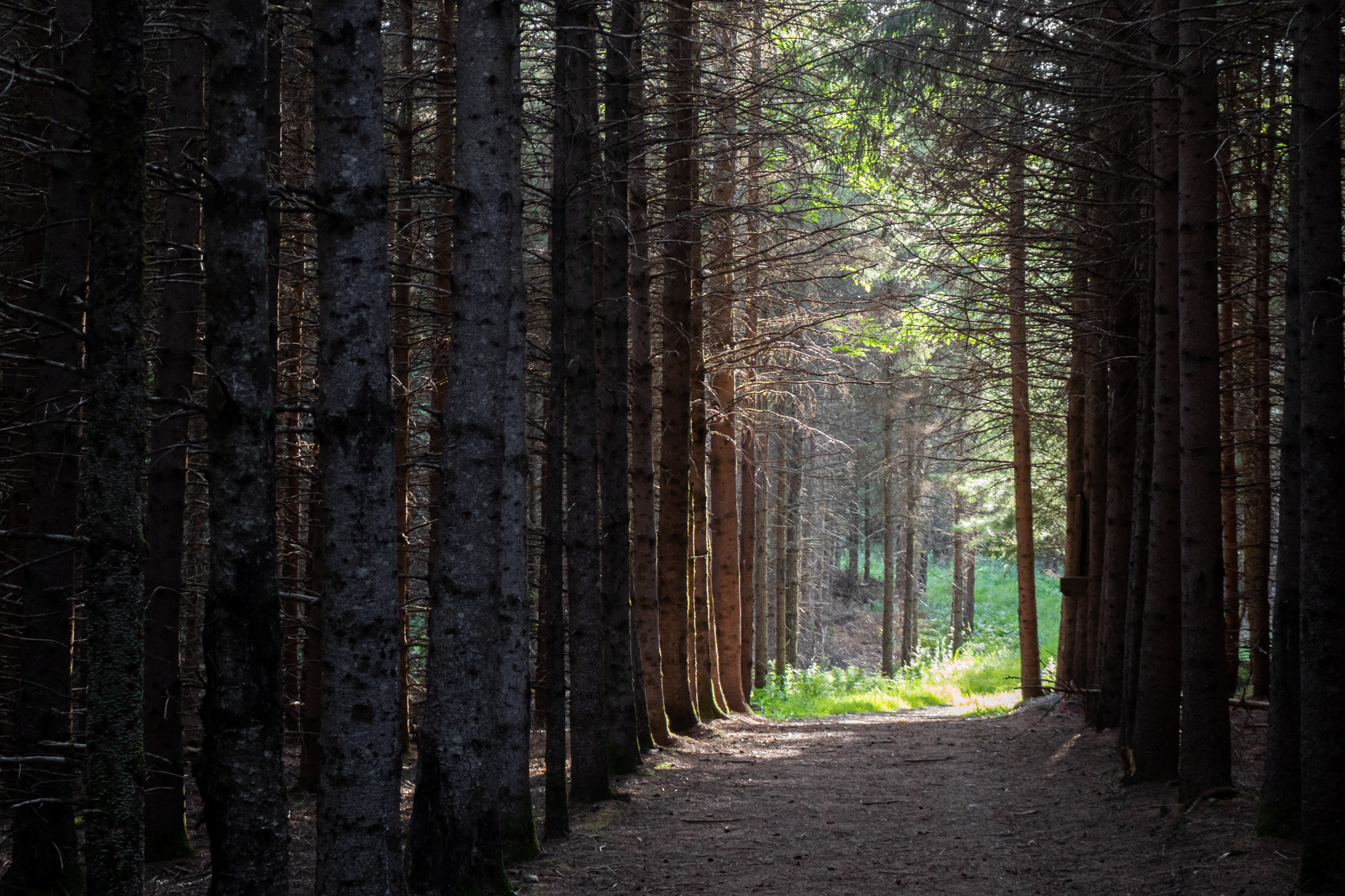 Towards the Light | (Bolton-Est, Canada)