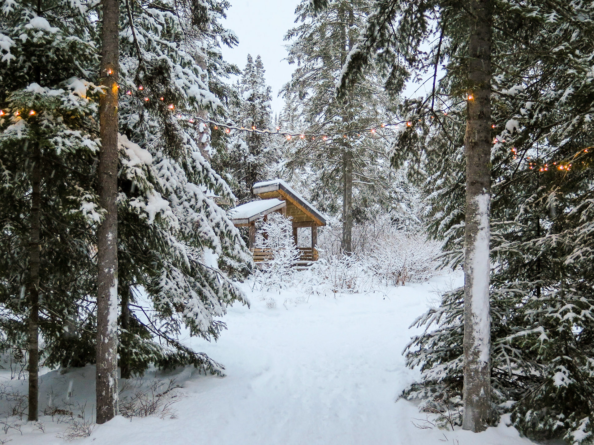 A Winter Walk | (Kabania)