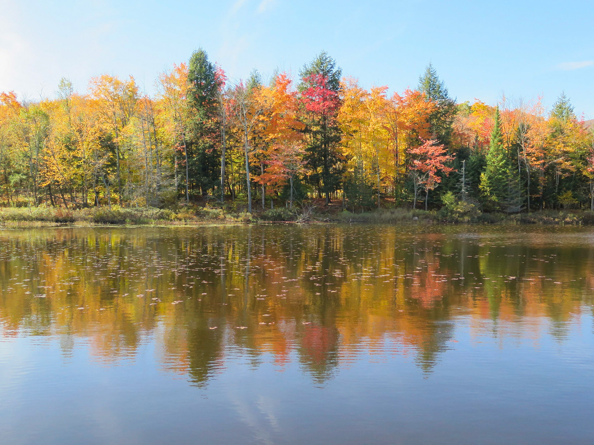 Autumn Awesomeness | (Parc National du Mont-Orford)