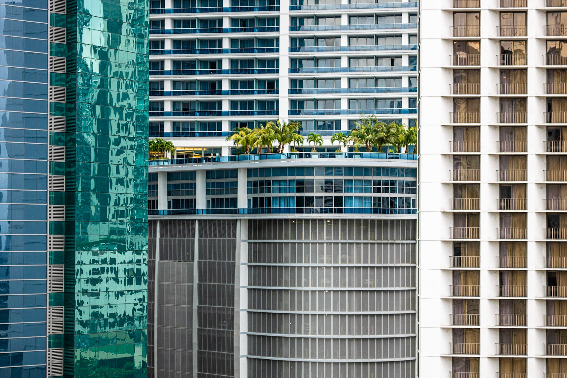 Downtown Paradise | (Miami Tower Sky Deck)