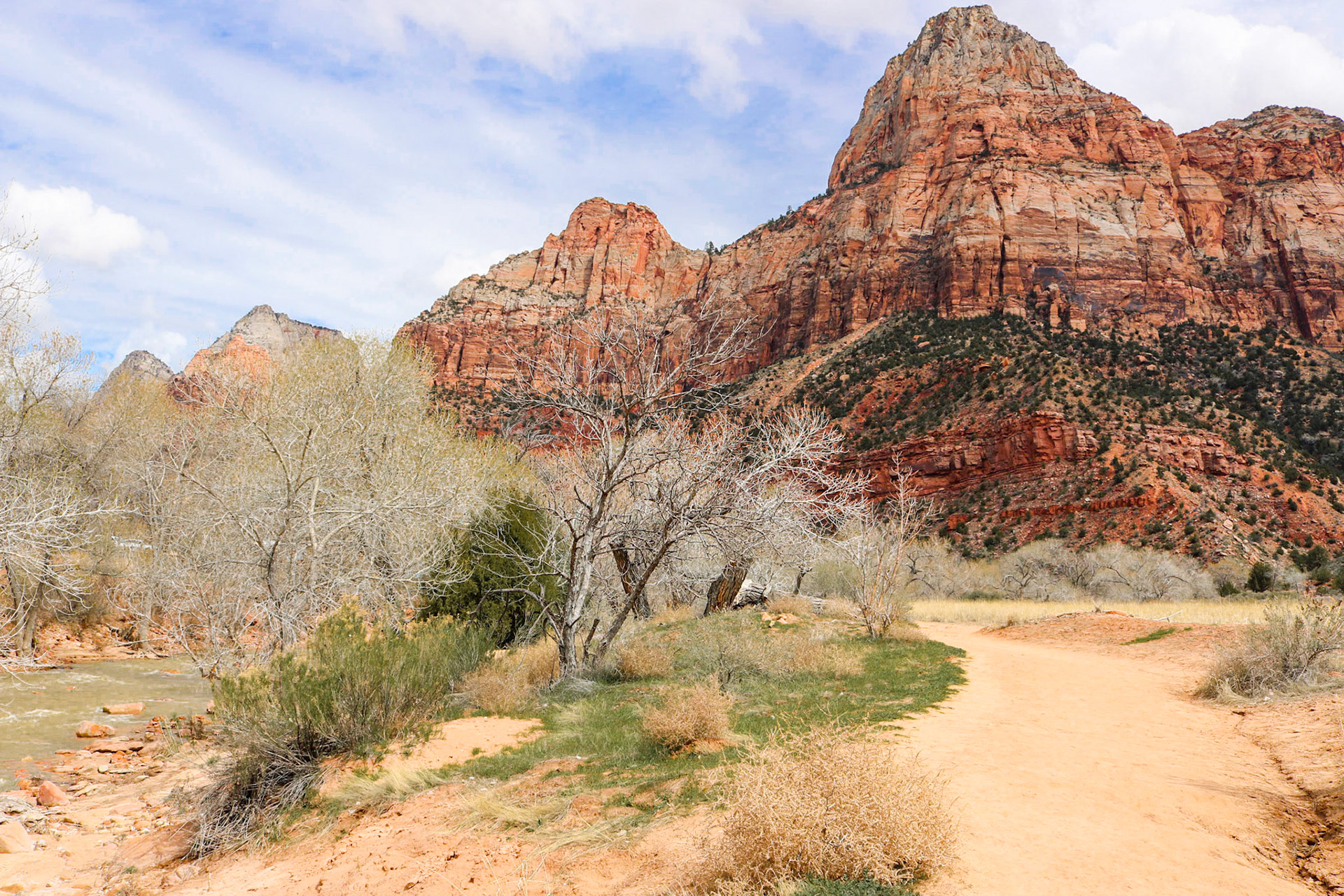 The Watchman