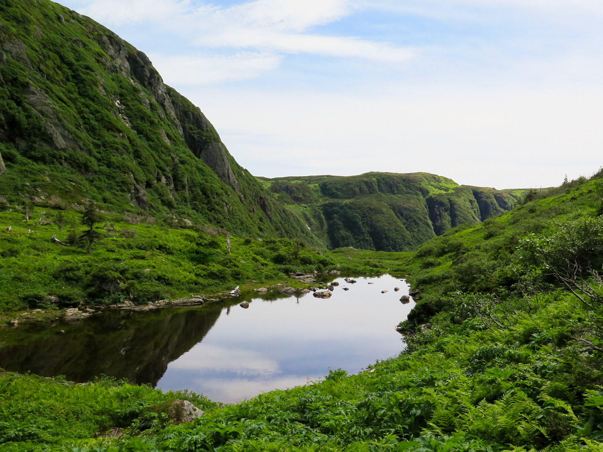 Water Break | (Gros Morne National Park)