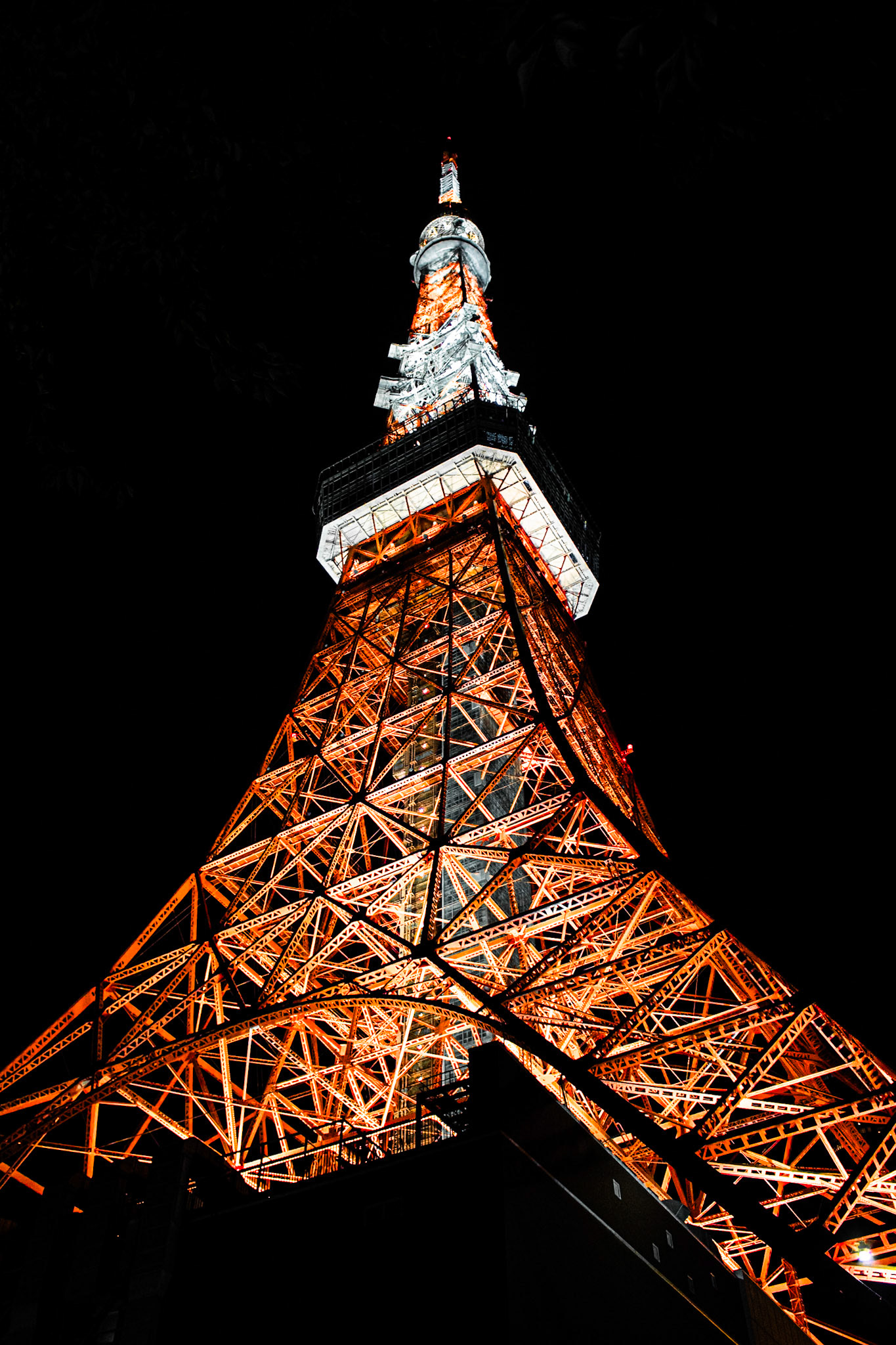 Orange Point | (Tokyo Tower)