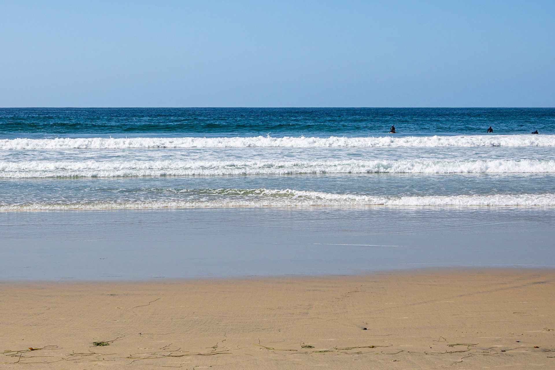Pacific Waves