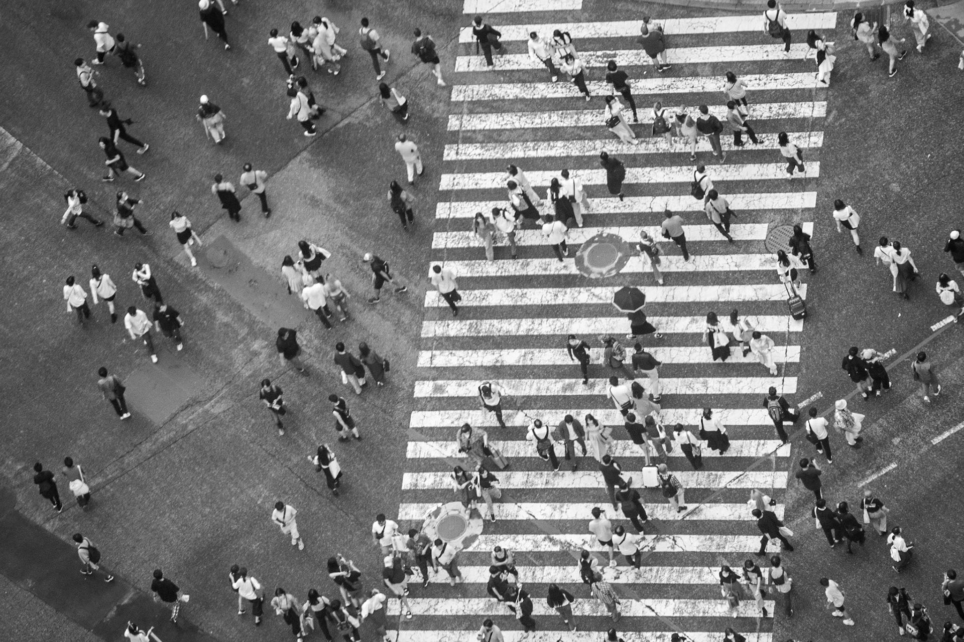 The Crossing | (Shibuya Scramble)