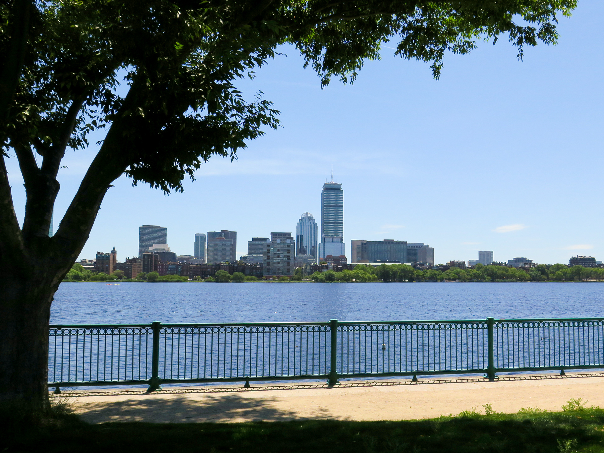 A Shady Spot | (Boston, USA)