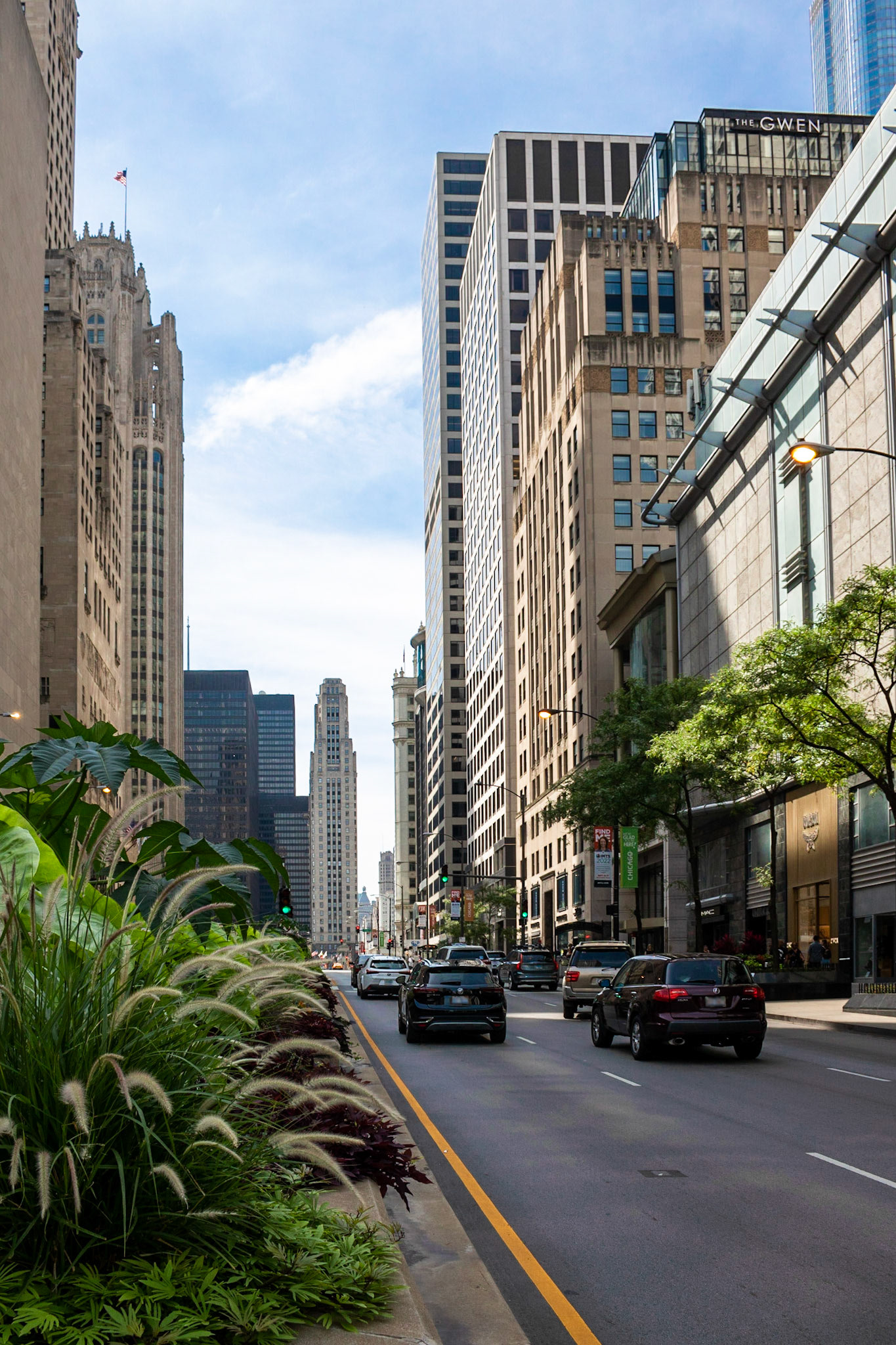 Left Lane | (North Michigan Ave)