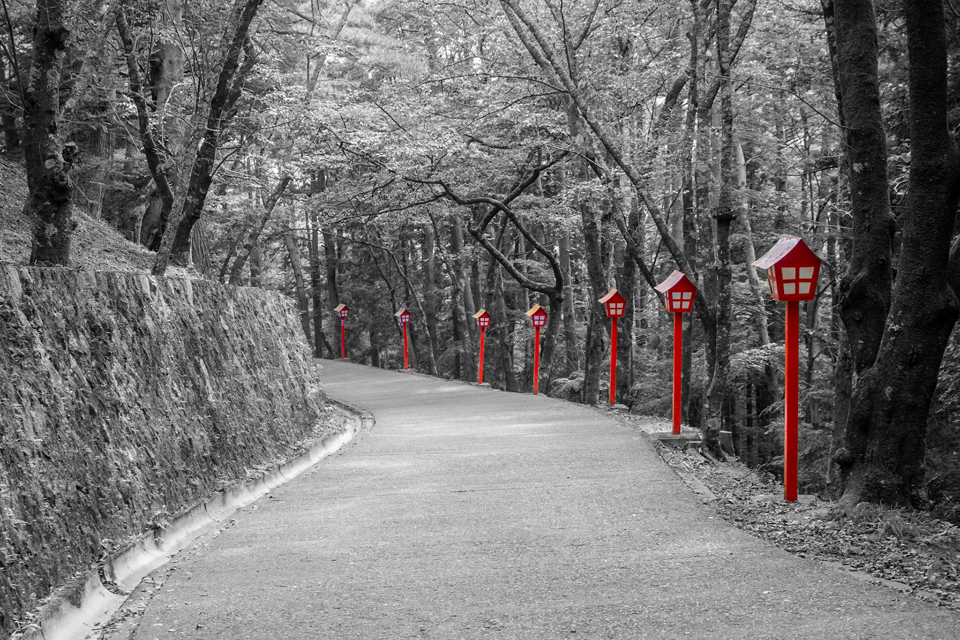 The Pathway | (Arakurayama Sengen Park)