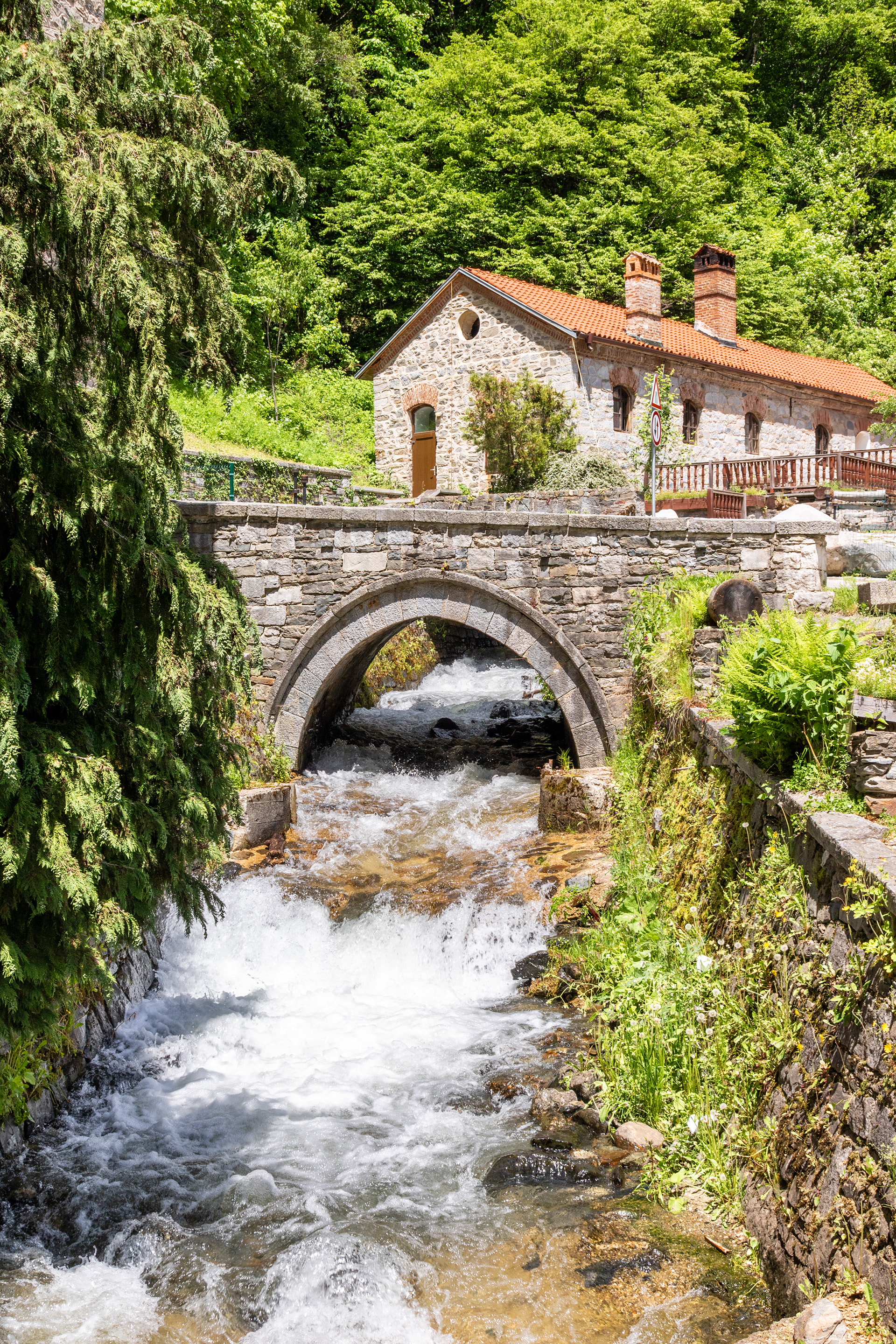 The Flow | (Rila Monastery)