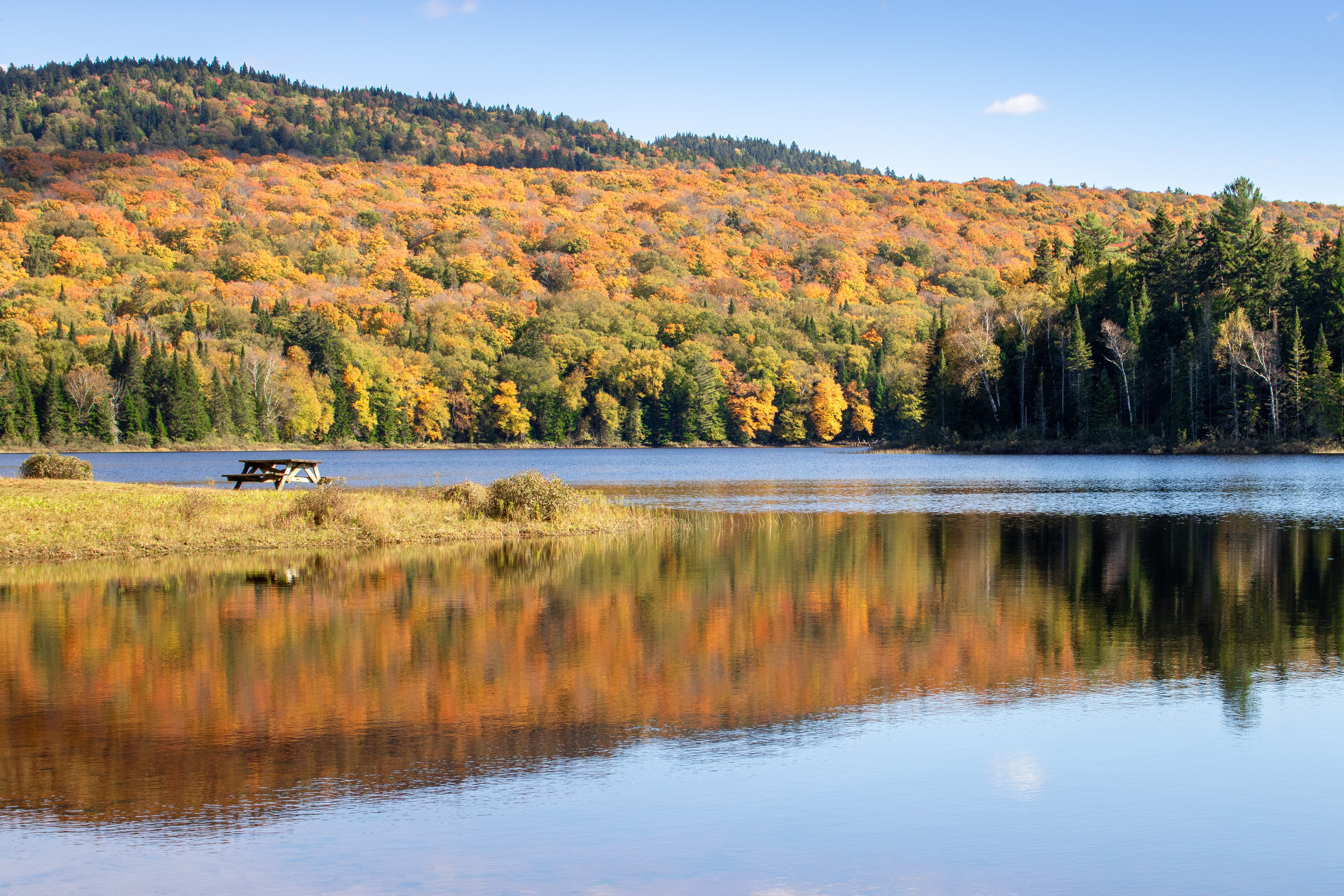 Perfect Picnic | (Parc National du Mont-Tremblant)