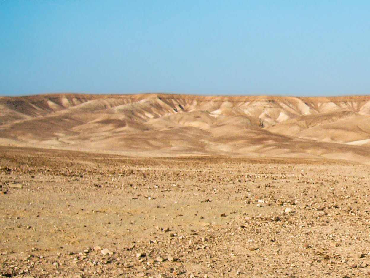 Surrounded by Sand | (Judean Desert)