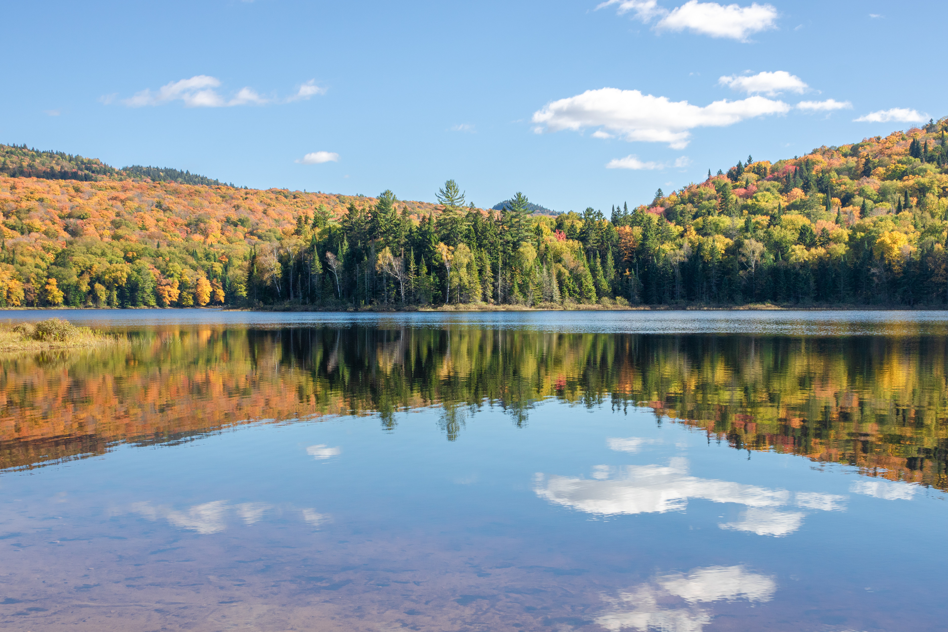 Down the Middle | (Parc National du Mont-Tremblant)