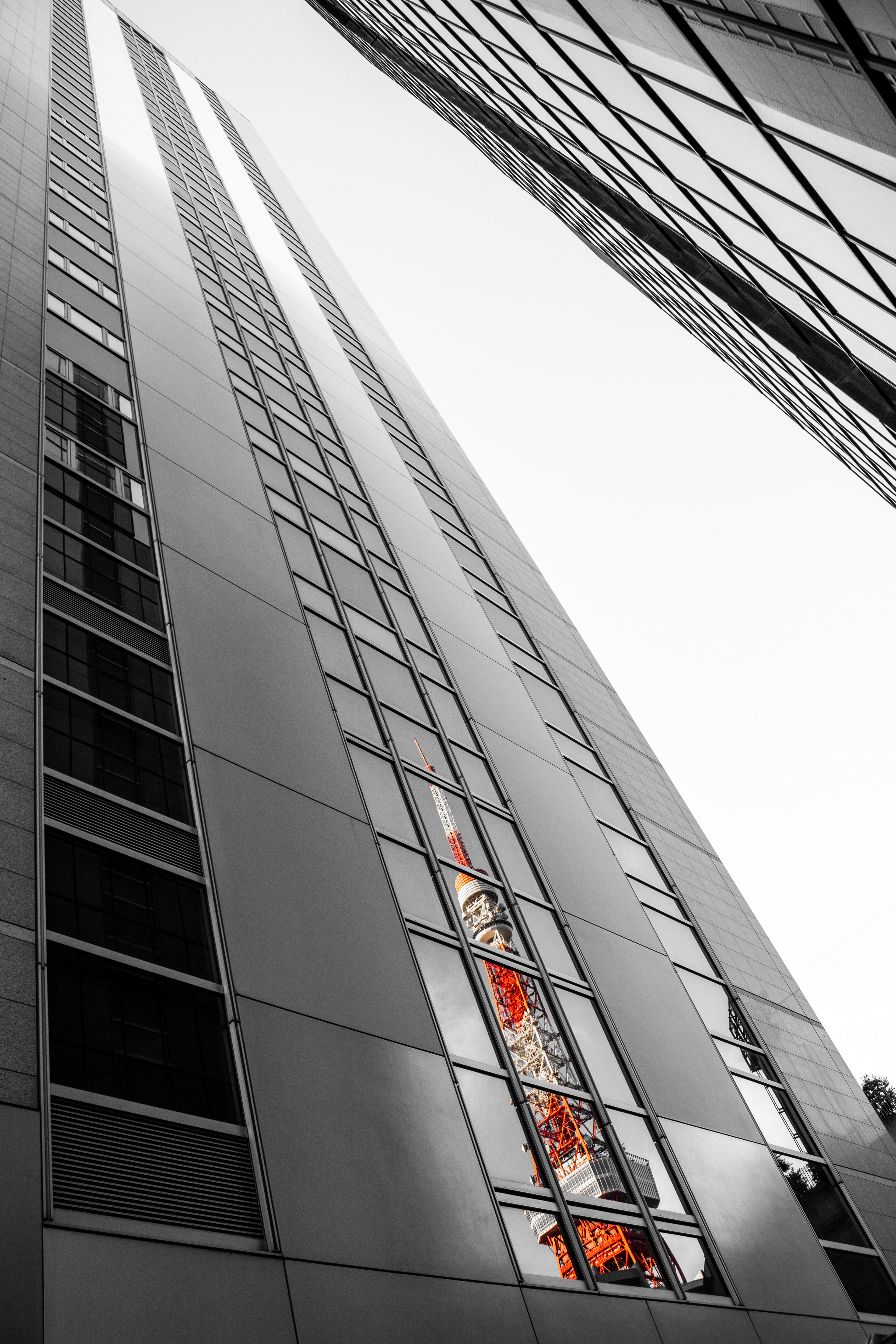 In The Window | (Tokyo, Japan)