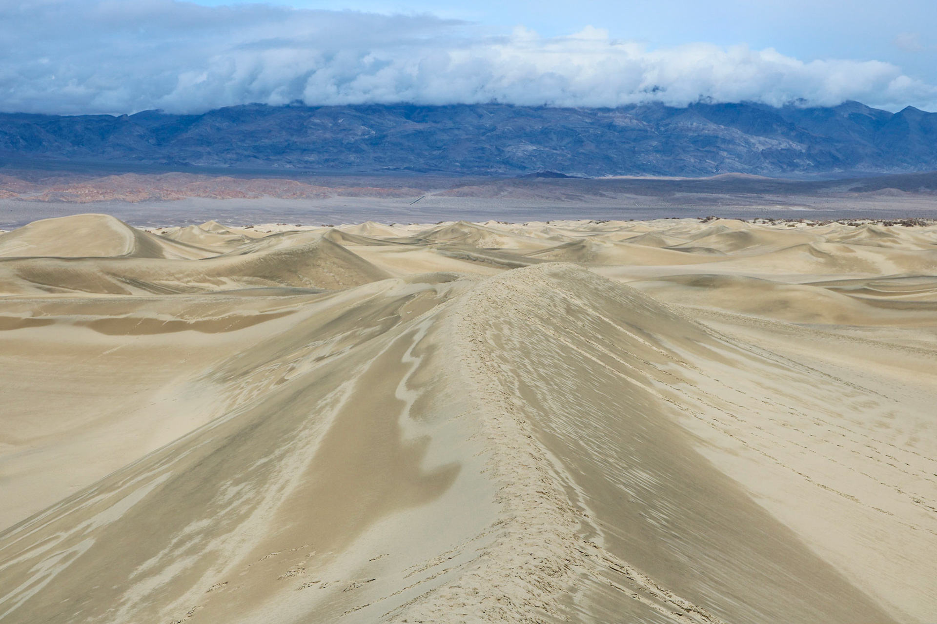 Along the Ridge | (Mesquite Flat Sand Dunes)