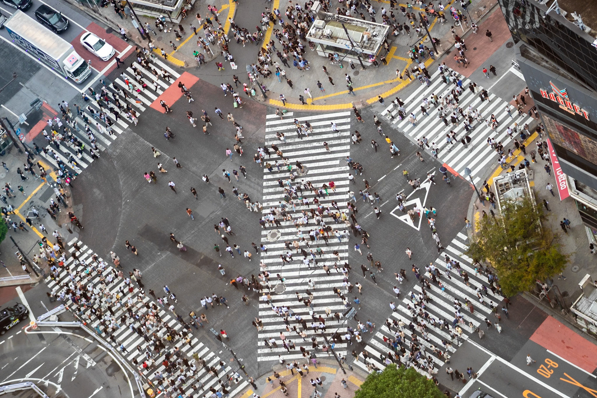 Every Which Way | (Shibuya Scramble)