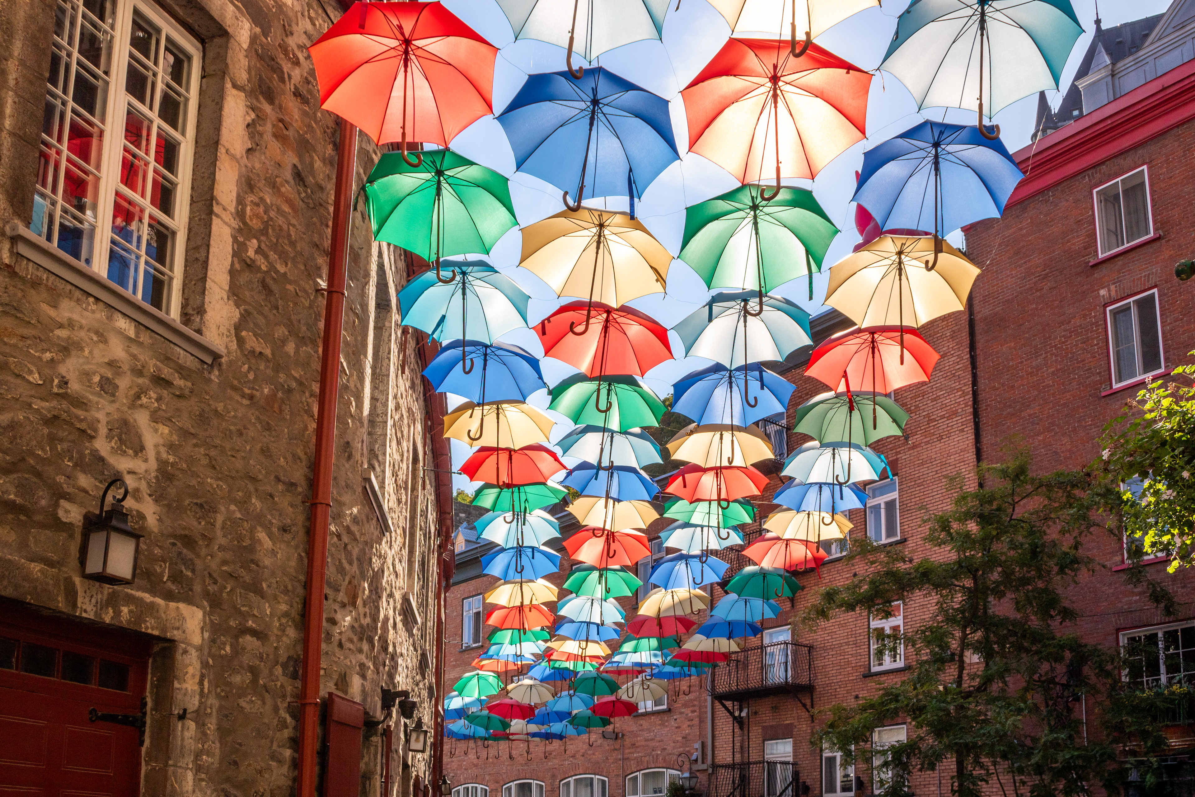 Under My Umbrella | (Rue du Cul-de-Sac)