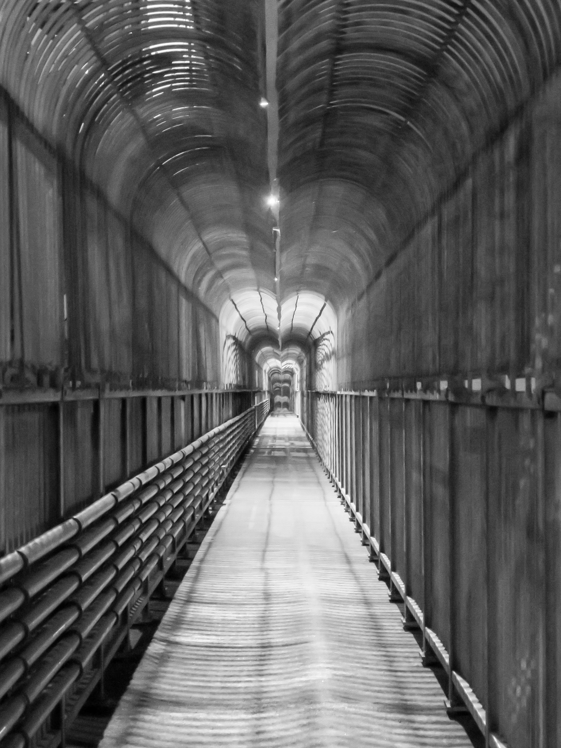 Endless | (Montreal, Canada)