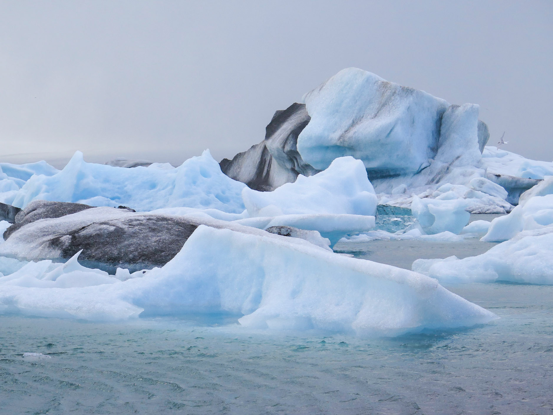 The Chill Zone | (Jökulsarlón)