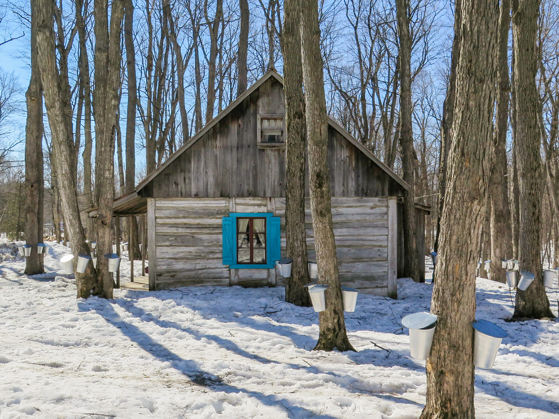 Sugar Shack | (Sucrerie de la Montagne)