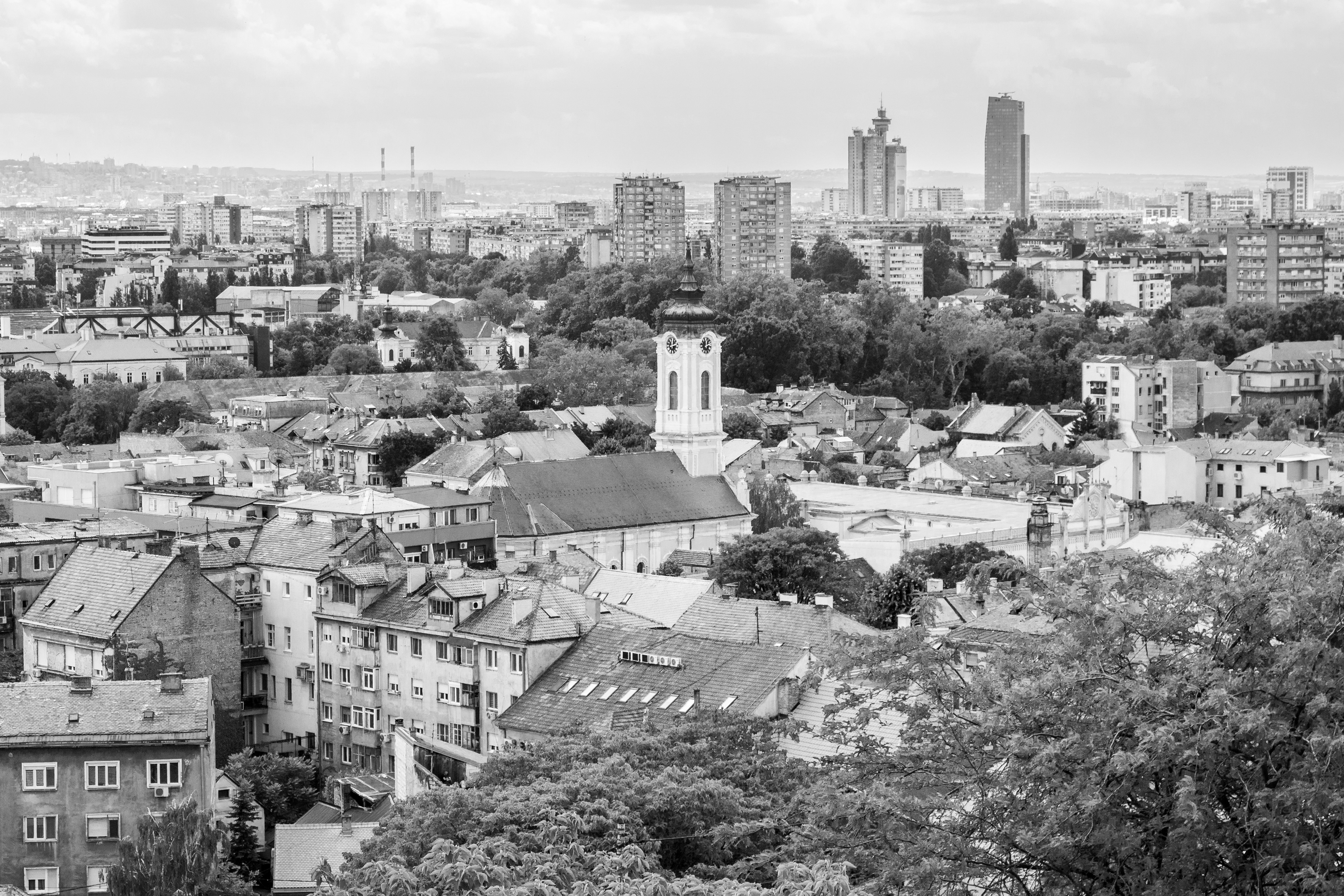 The Tall Ones | (Zemun)