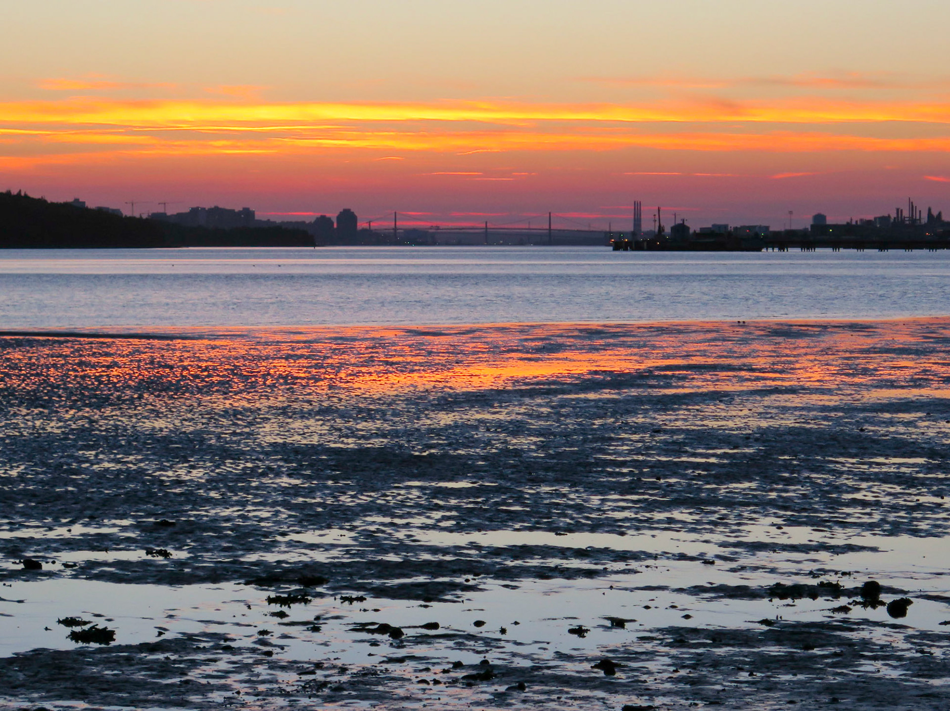 Line of Fire | (Fisherman's Cove, Halifax)