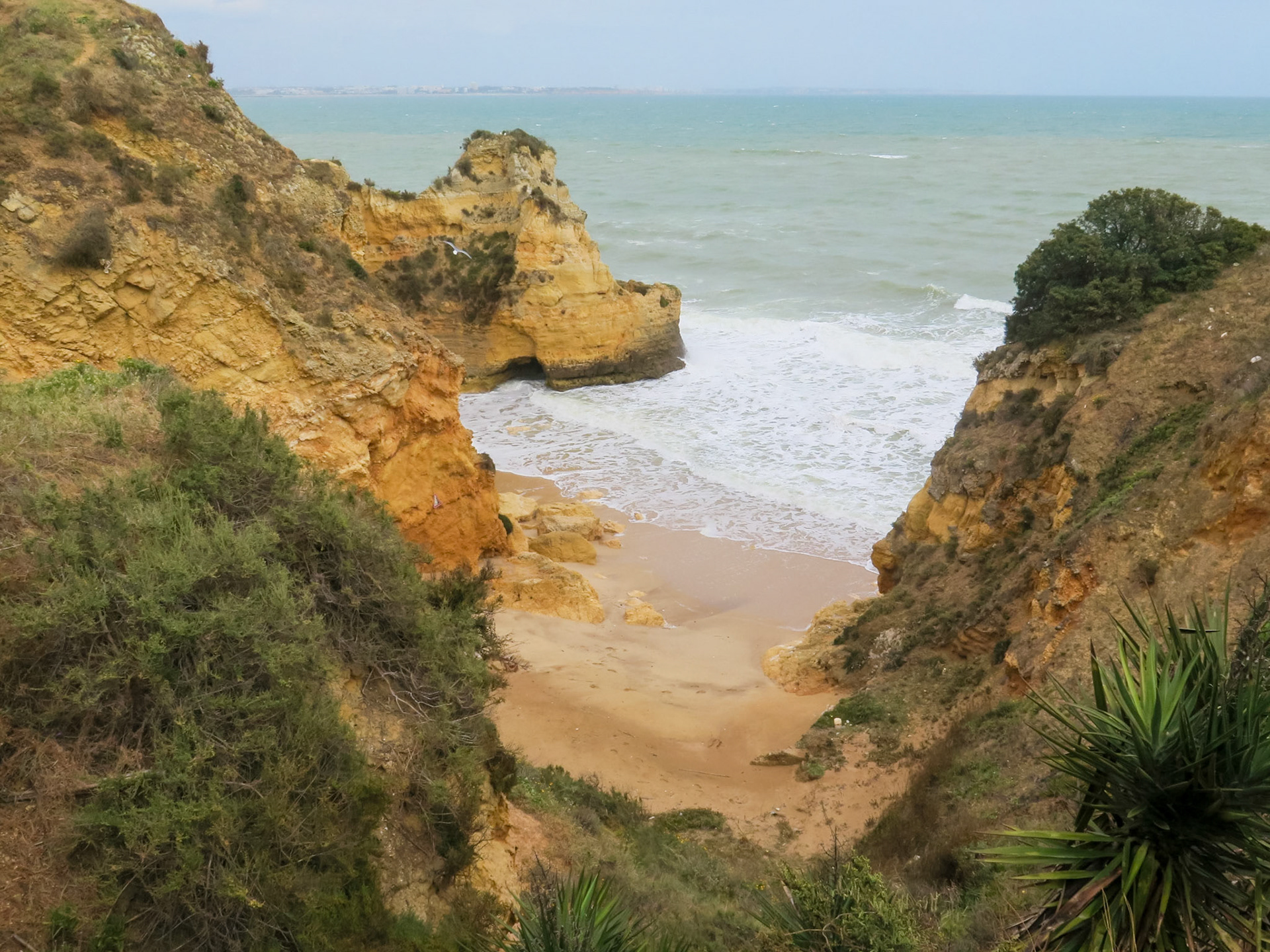 The Dragon | (Praia do Pinhão)