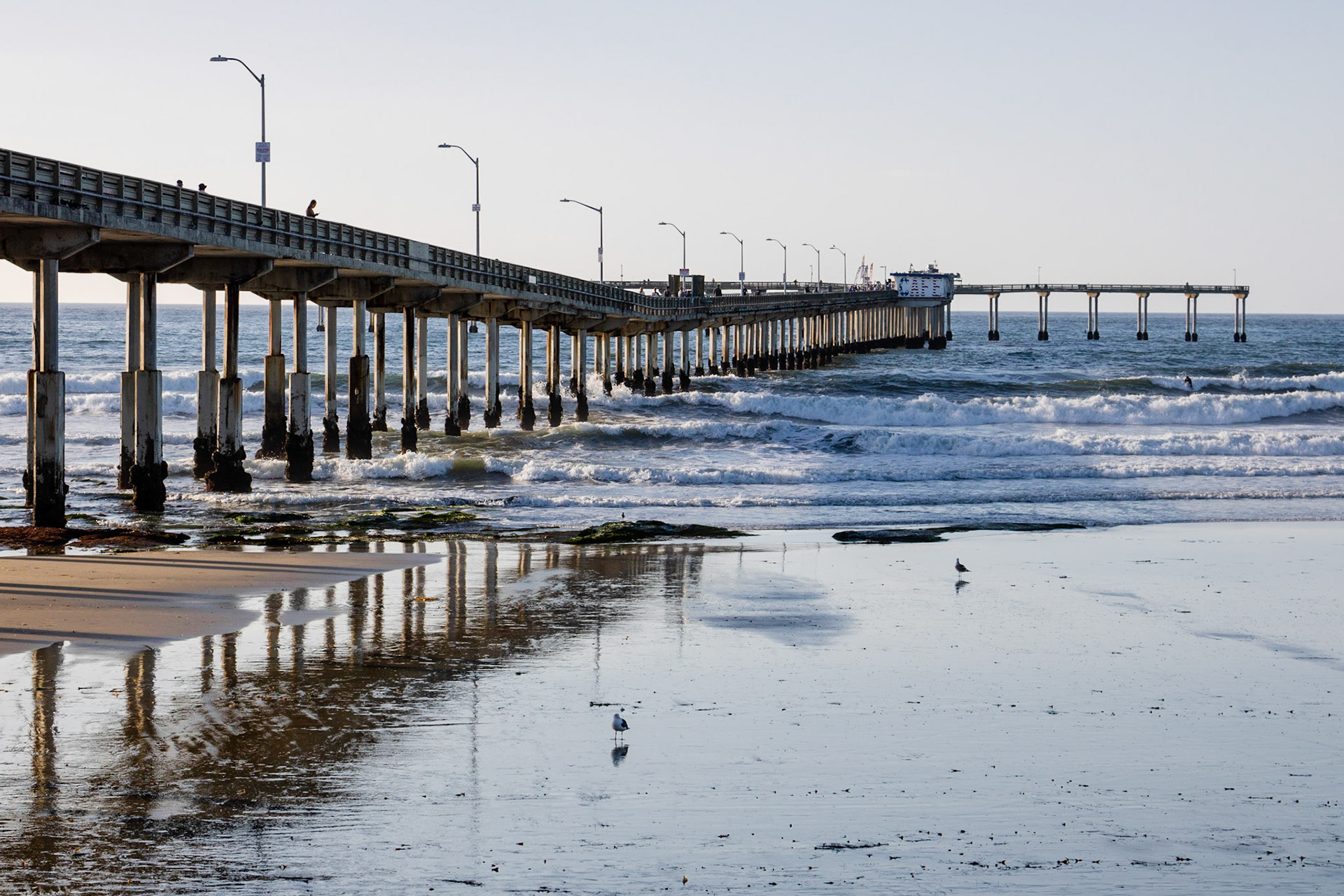 Coffee by the Ocean | (Ocean Beach Pier)