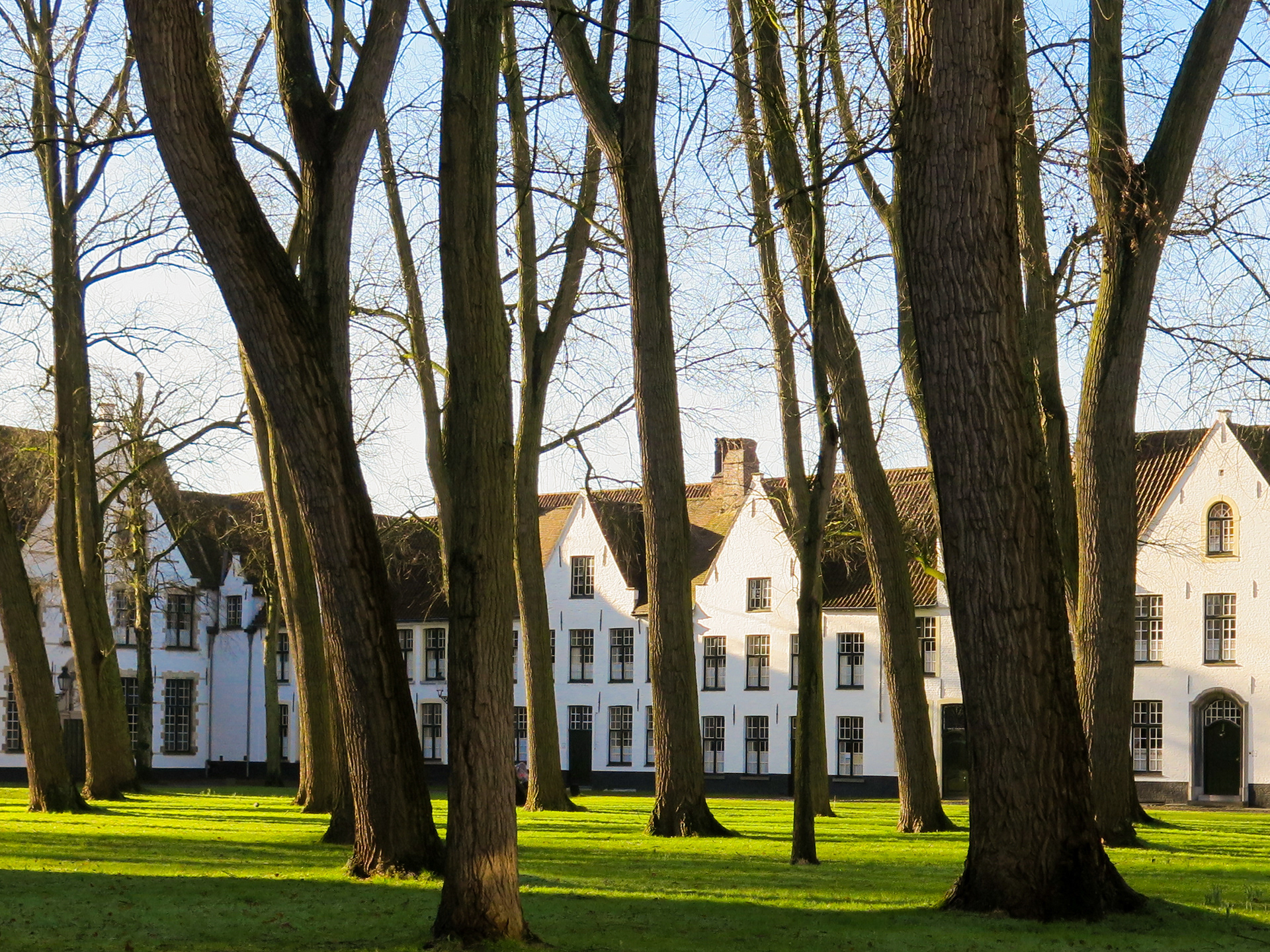 The Beguinage | (Bruges, Belgium)
