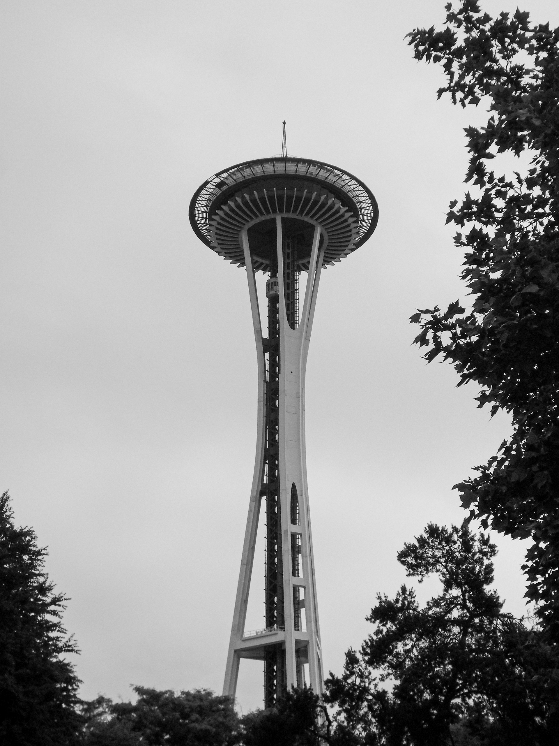 Framed | (Seattle, USA)