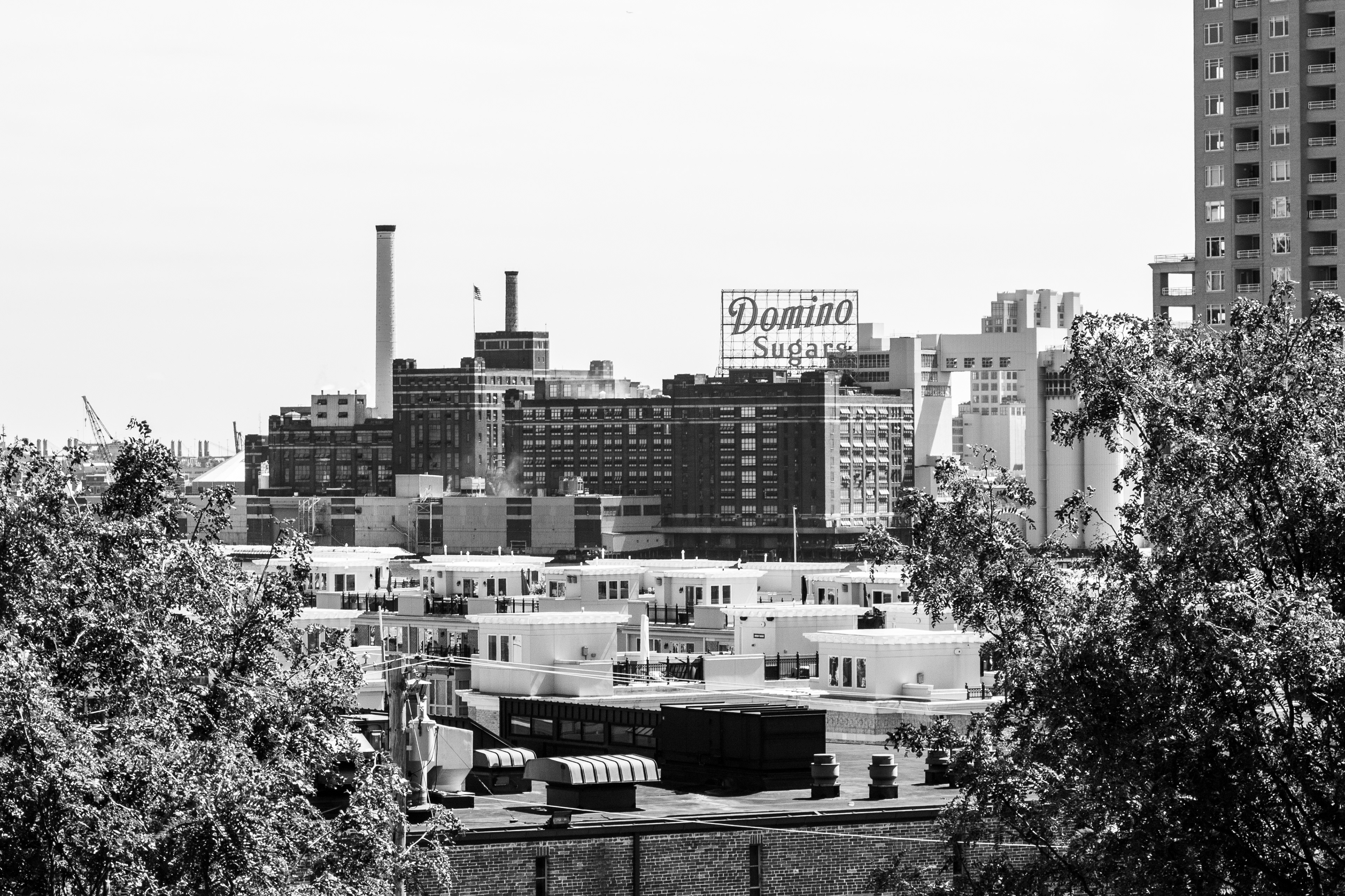 Sweet Stack | (Federal Hill Park)