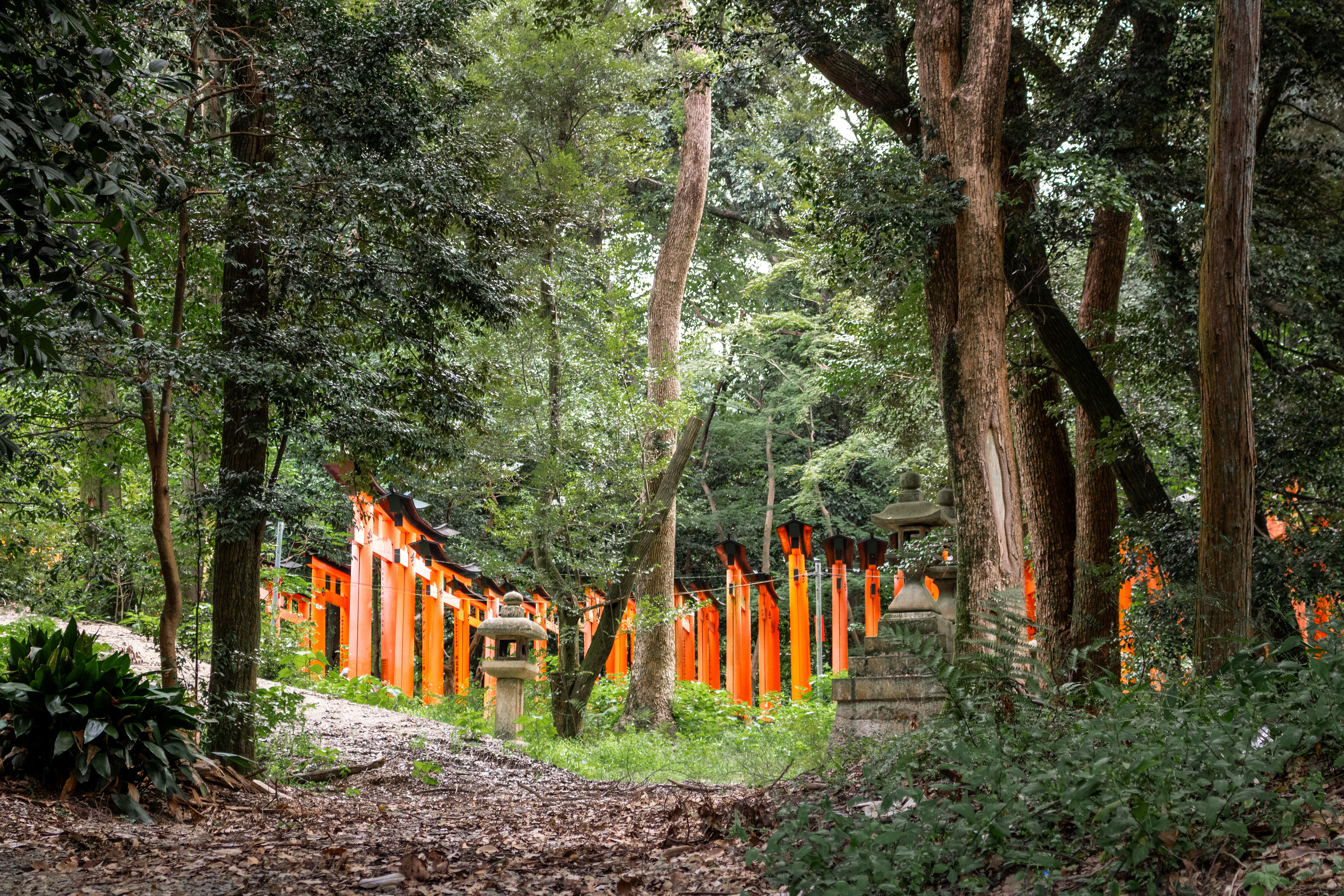 From The Outside | (Kyoto, Japan)